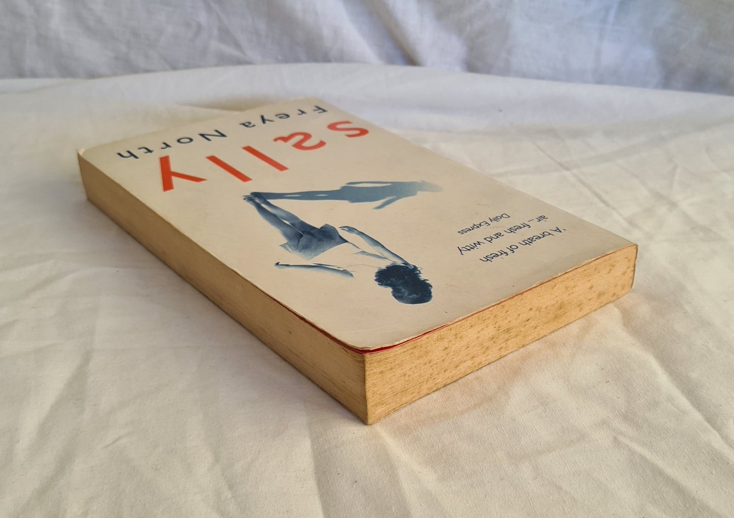 Sally by Freya North