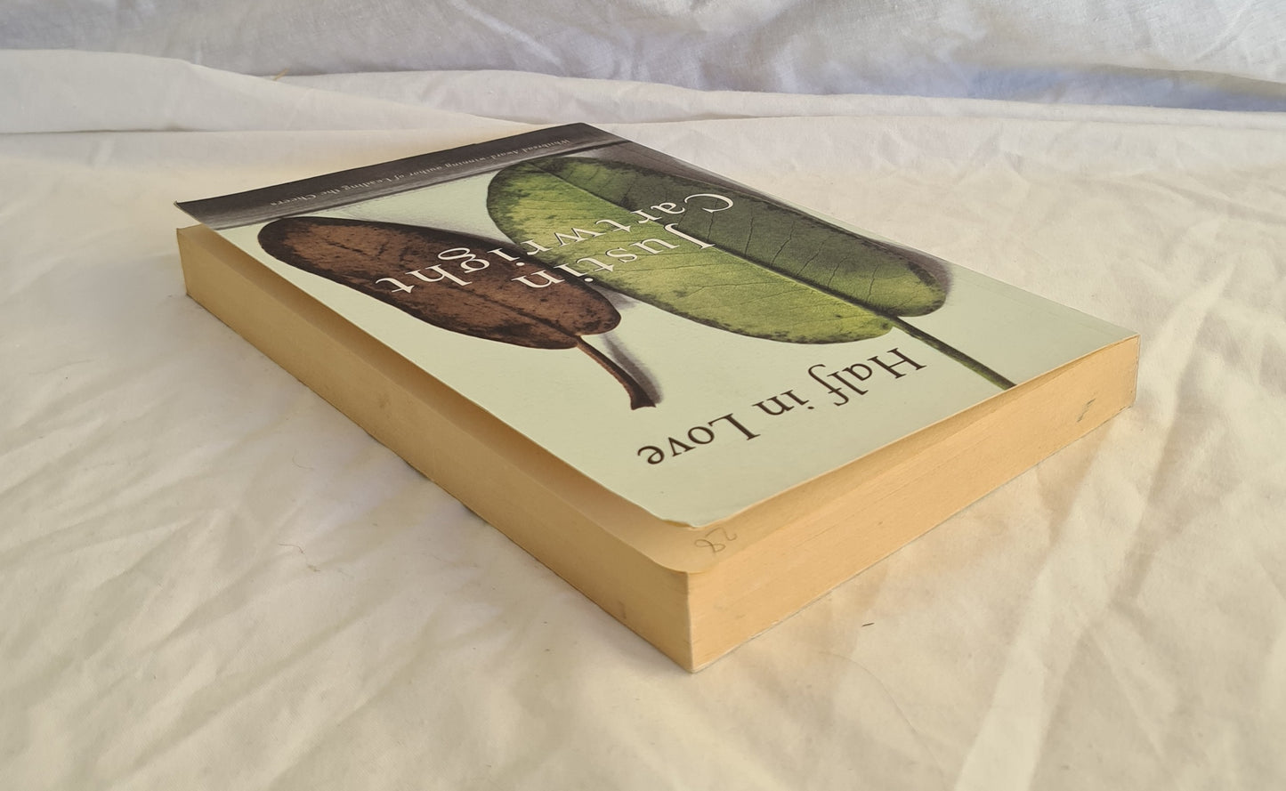 Half in Love by Justin Cartwright