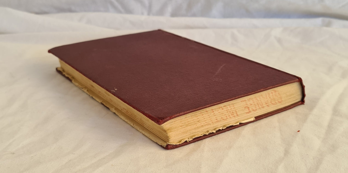 This Lovely Thing by Anne Hill