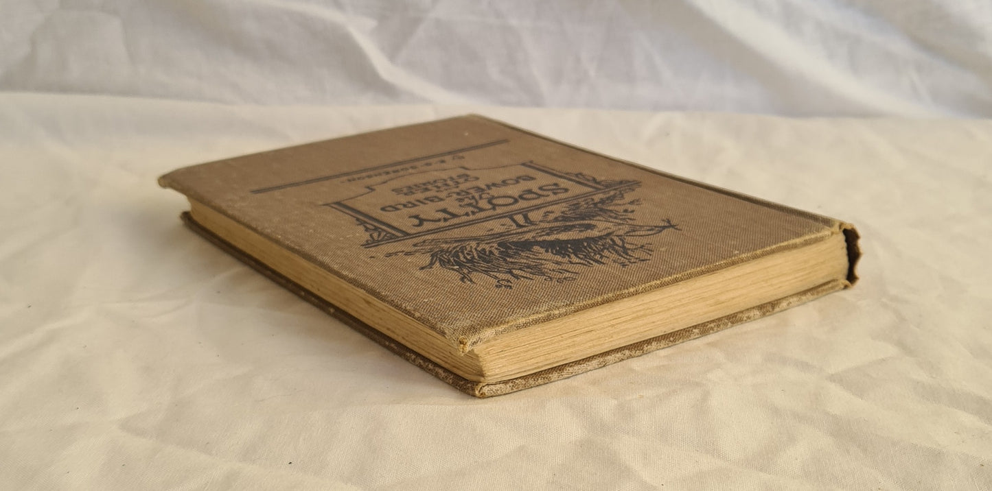 Spotty, the Bower Bird and Other Nature Stories by Edward S. Sorenson