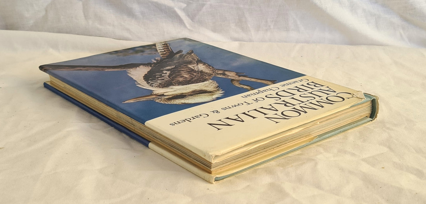 Common Australian Birds of Towns and Gardens by Graeme Chapman