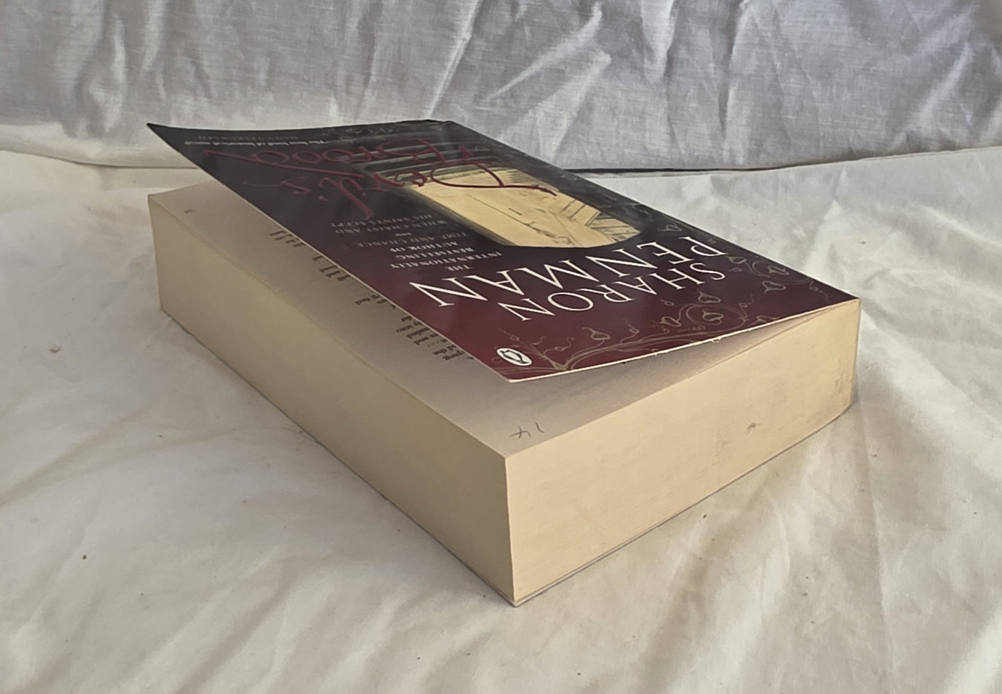 Devil’s Brood by Sharon Penman