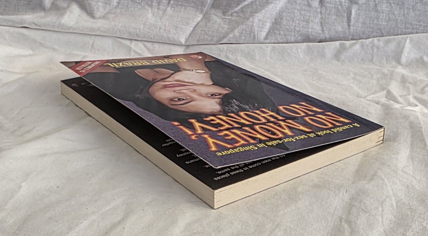 No Money, No Honey by David Brazil