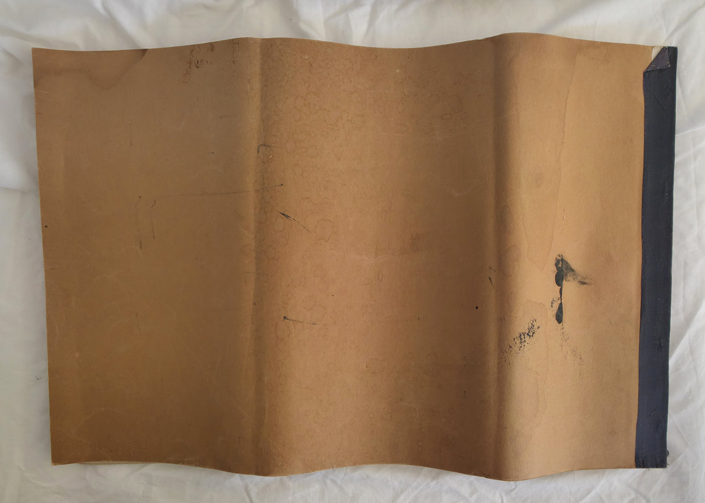 Report of the Murray Valley Resources Survey Committee On Resources and Development of the Murray Valley