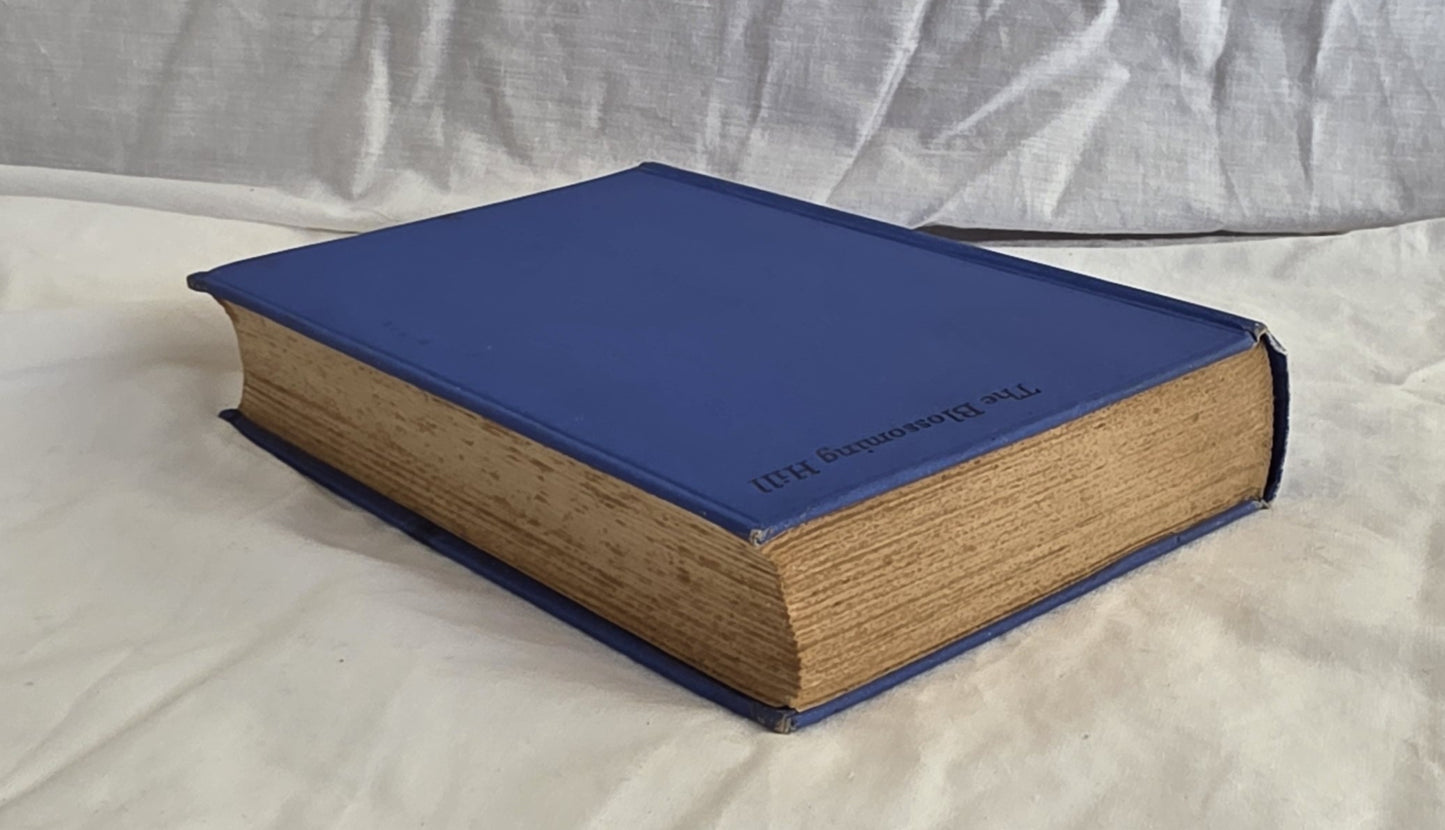 The Blossoming Hill by Rita Macfarlane