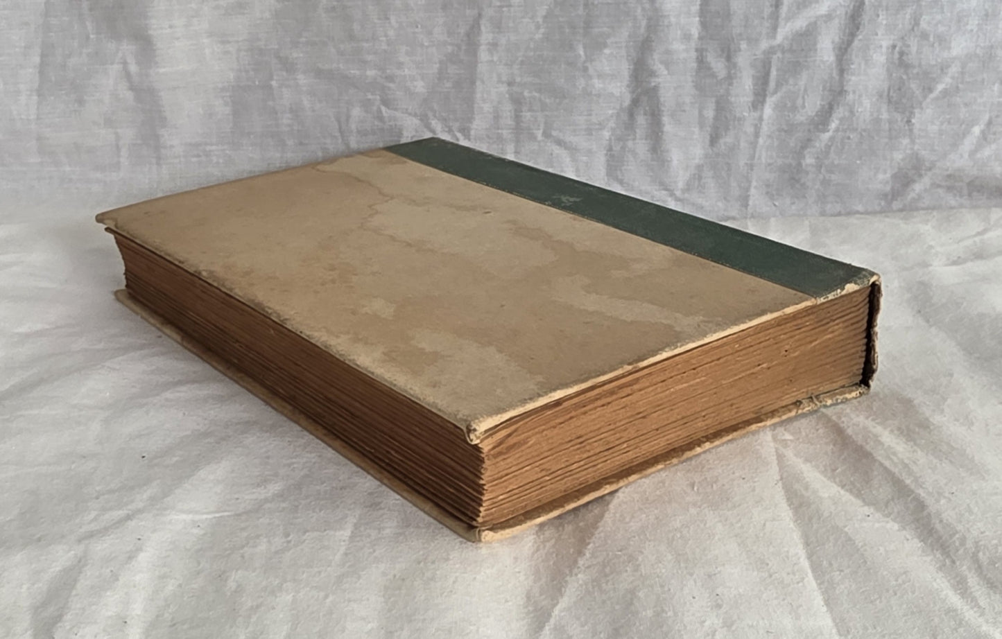 The Cripple in Black by E. V. Timms