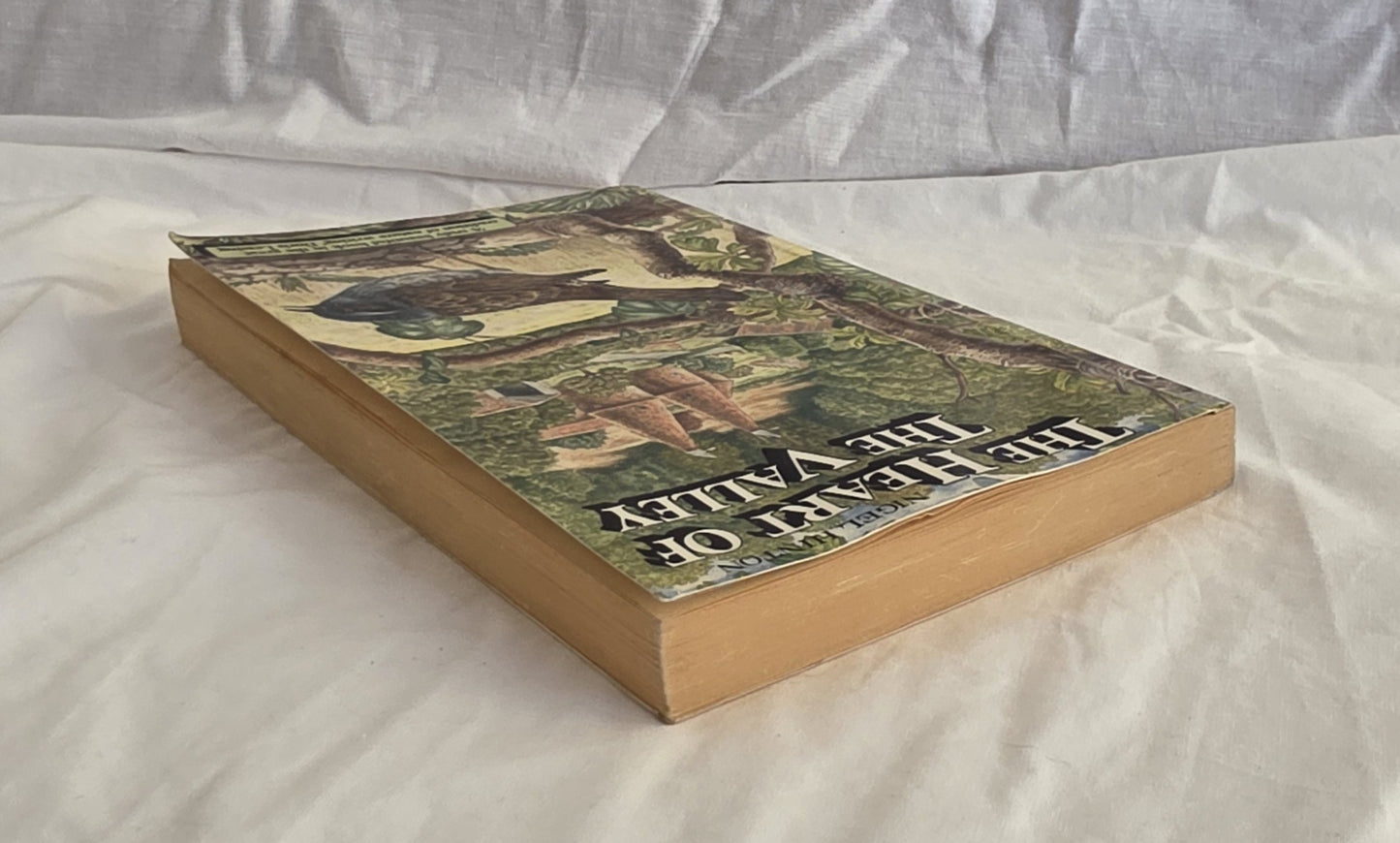 The Heart of the Valley by Nigel Hinton