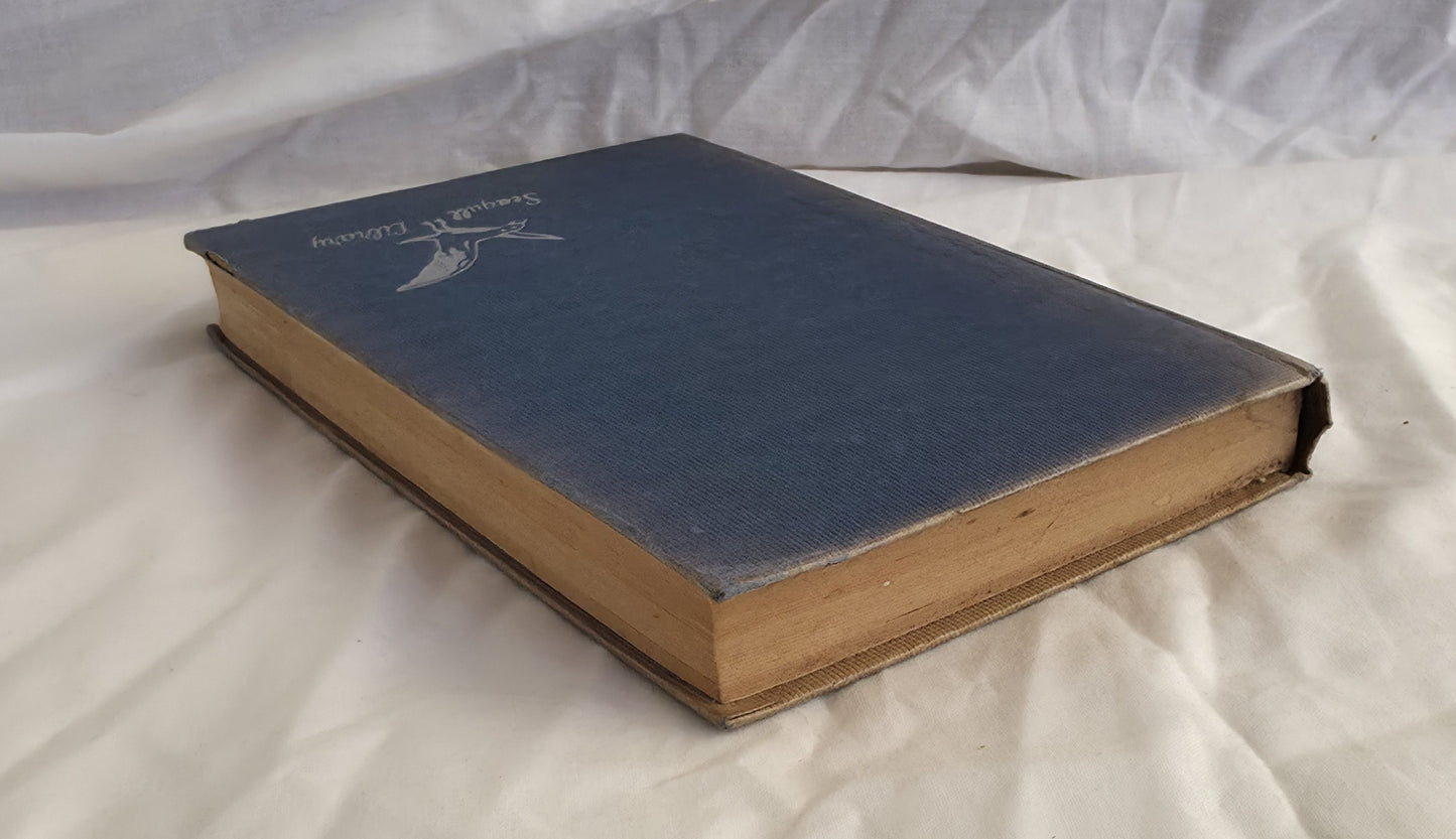 The Summer of The Great Secret by Monica Edwards