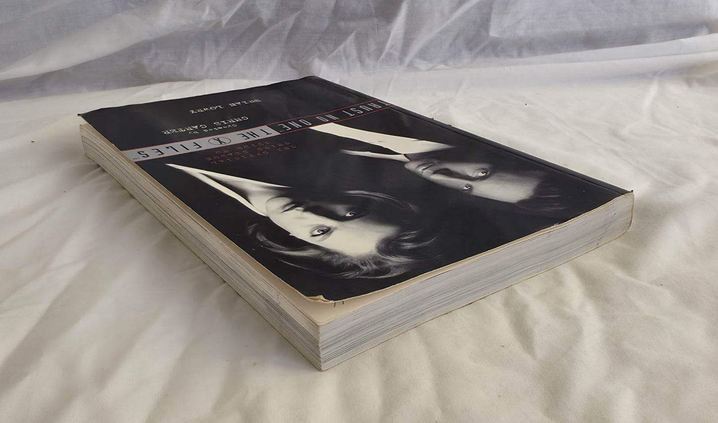 Trust No One by Brian Lowry and Sarah Stegall