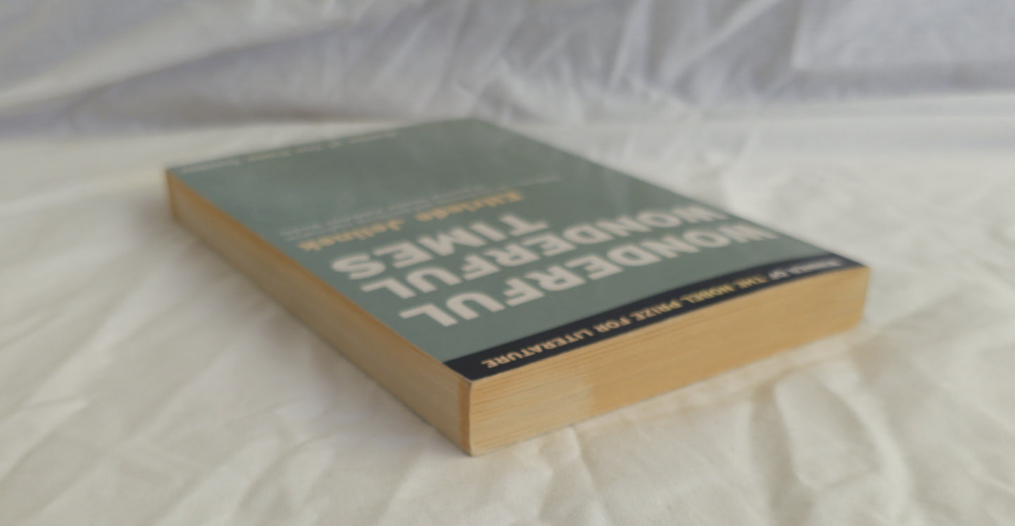 Wonderful Wonderful Times by Elfriede Jelinek