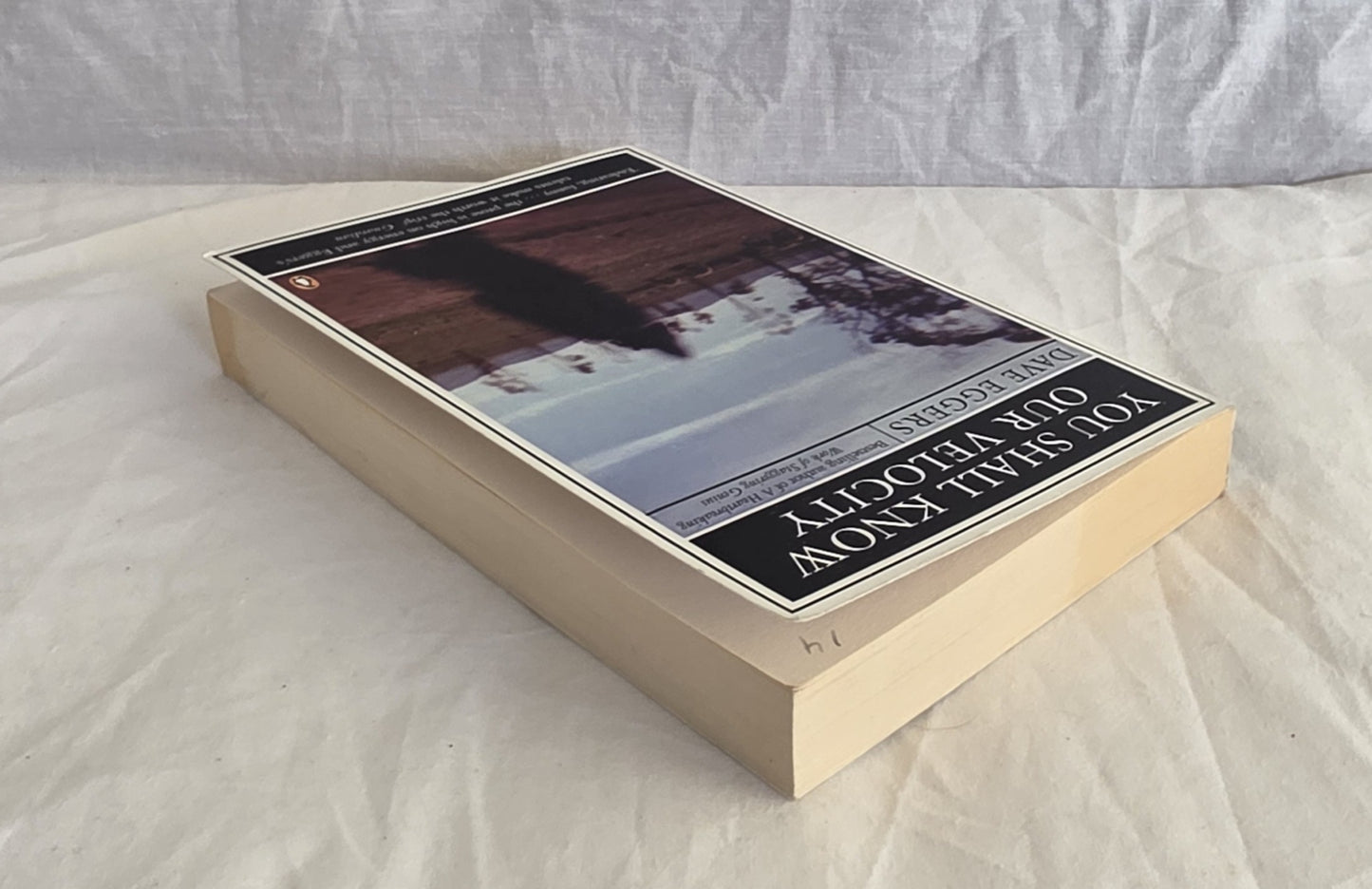 You Shall Know Our Velocity by Dave Eggers (Penguin)