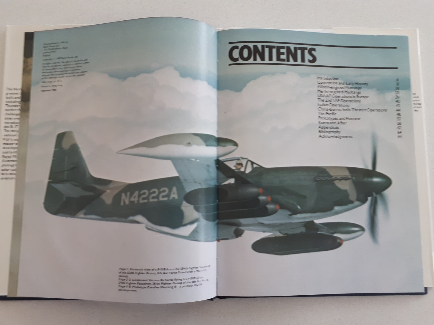 P-51 Mustang by William Newby Grant