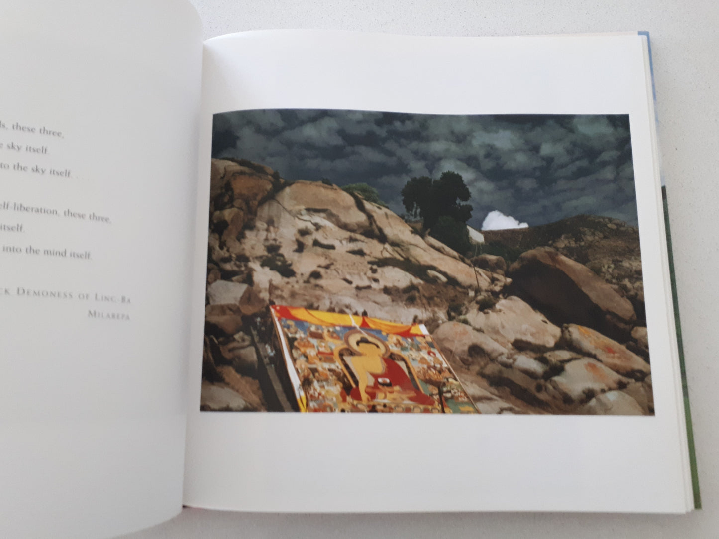 To The Light: A Journey Through Buddhist Asia by Sharon Collins