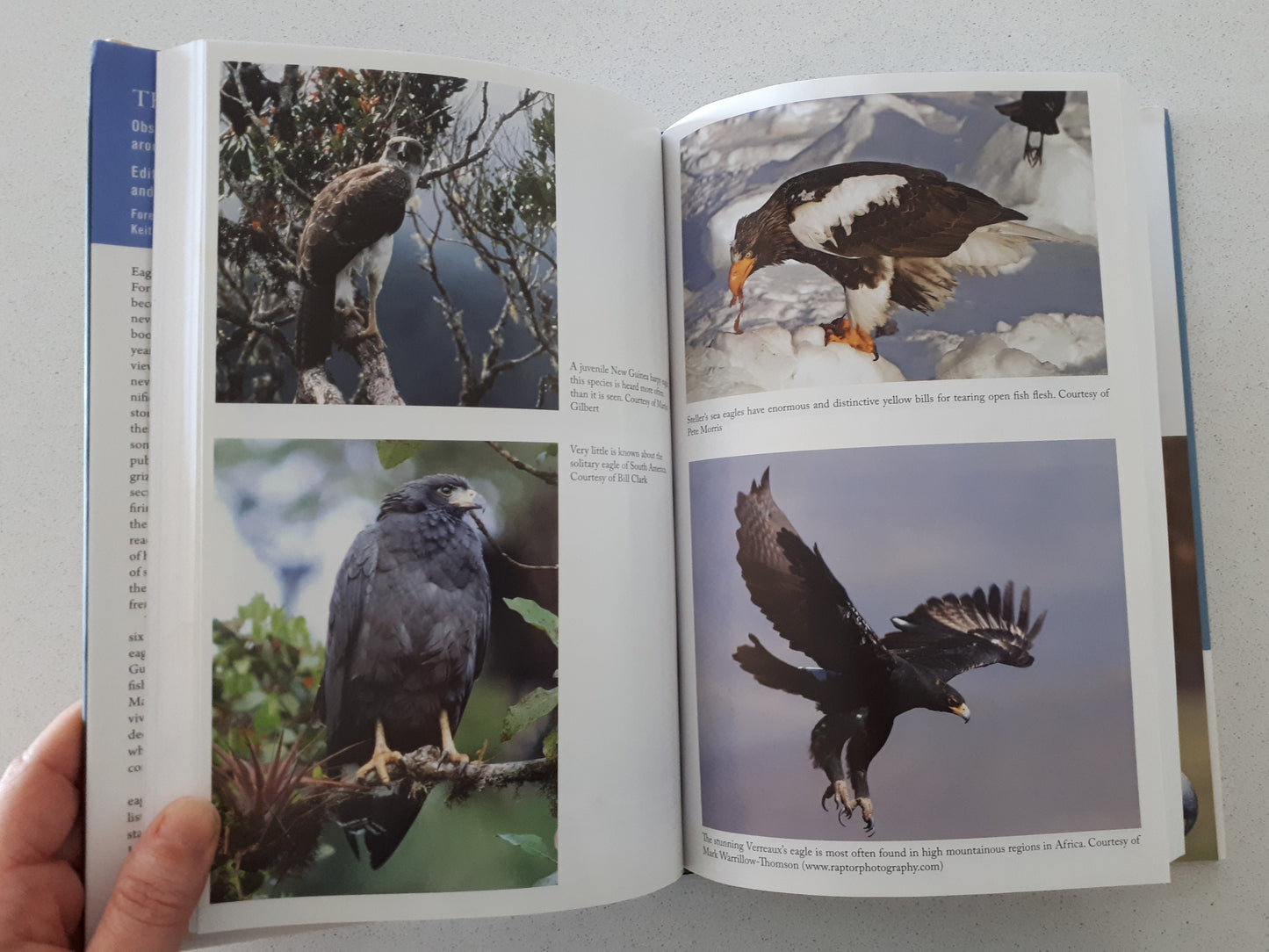 The Eagle Watchers: Observing and Conserving Raptors Around the World