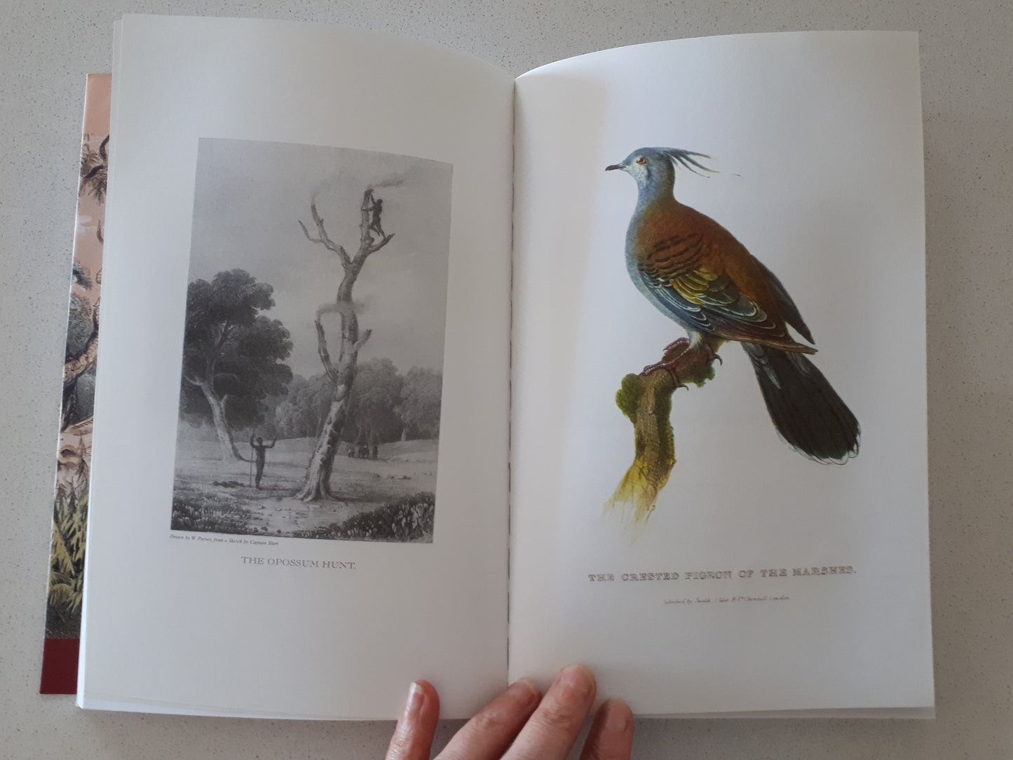 Two Expeditions Into The Interior of Southern Australia by Charles Sturt