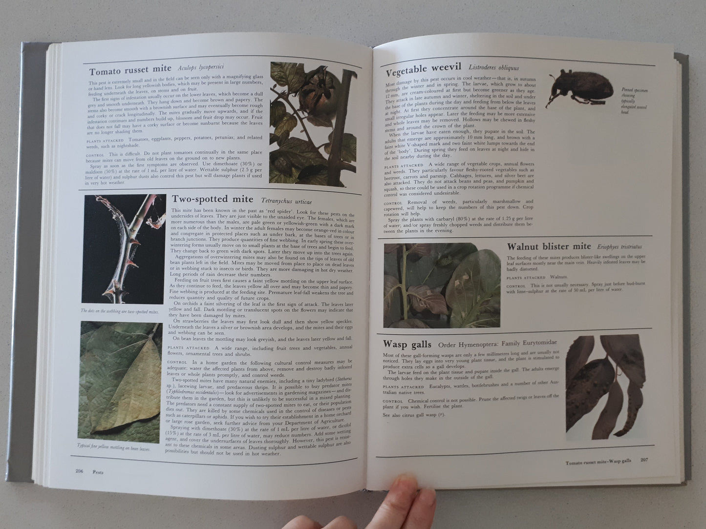 What Garden Pest Or Disease Is That? by Judy McMaugh