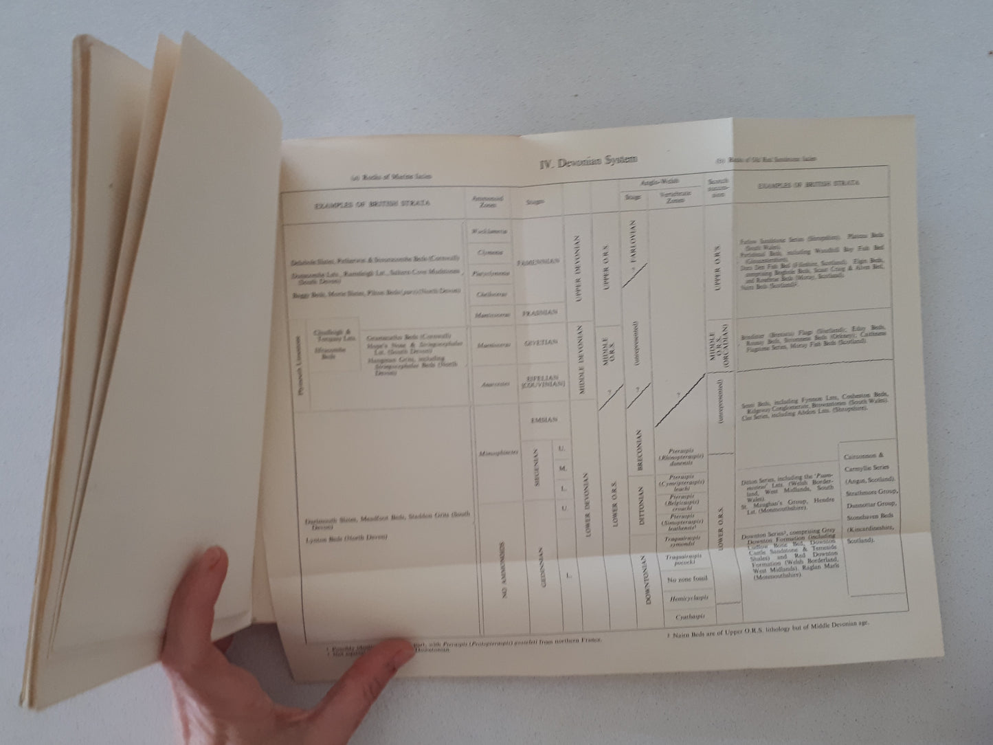 British Palaeozoic Fossils by The Natural History Museum