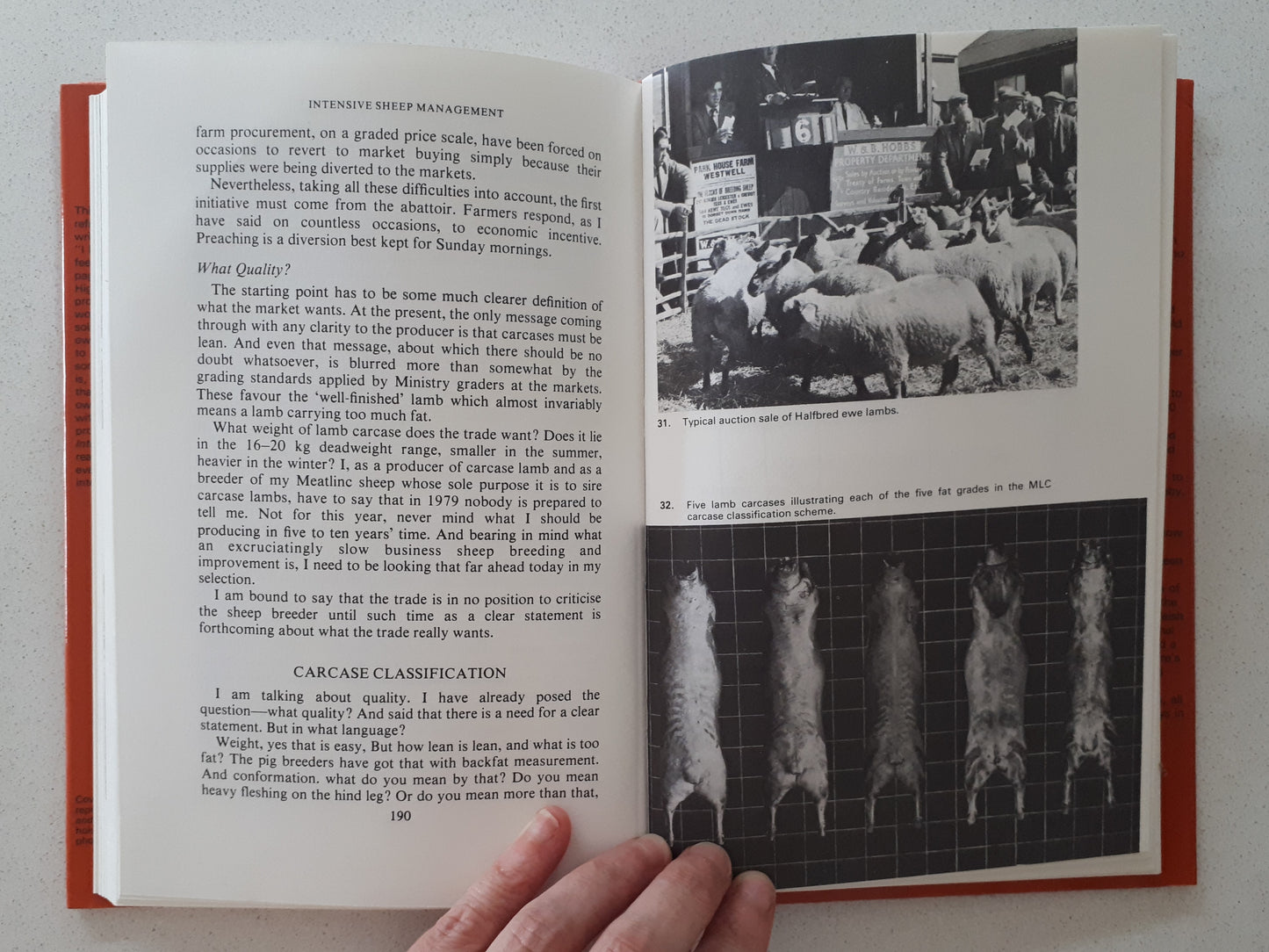 Intensive Sheep Management by Henry Fell