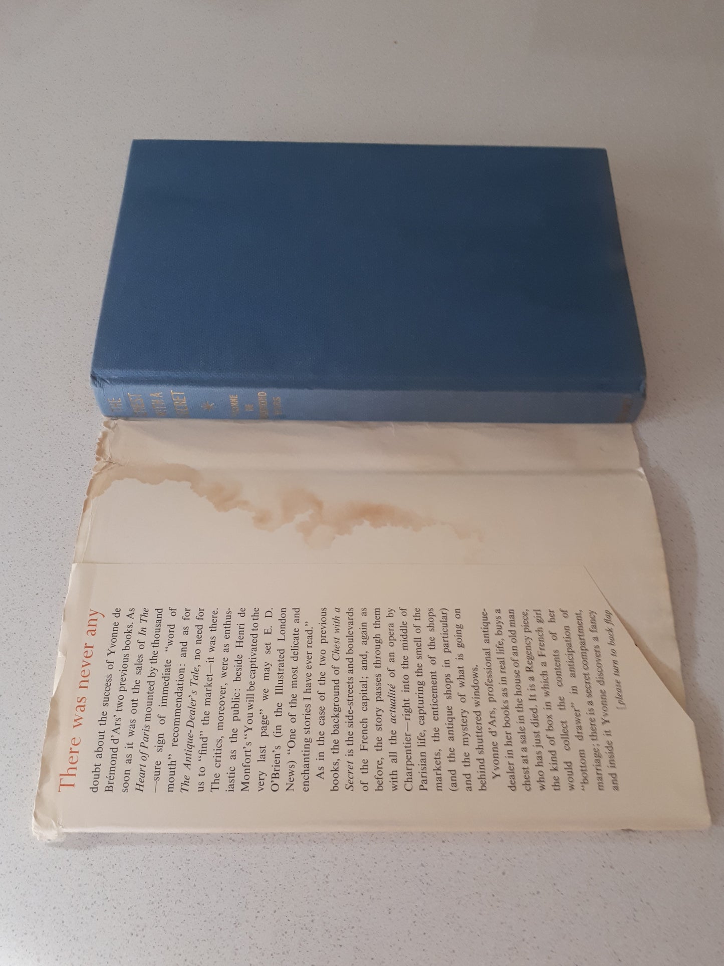 The Chest With A Secret by Yvonne De Bremond D'Ars