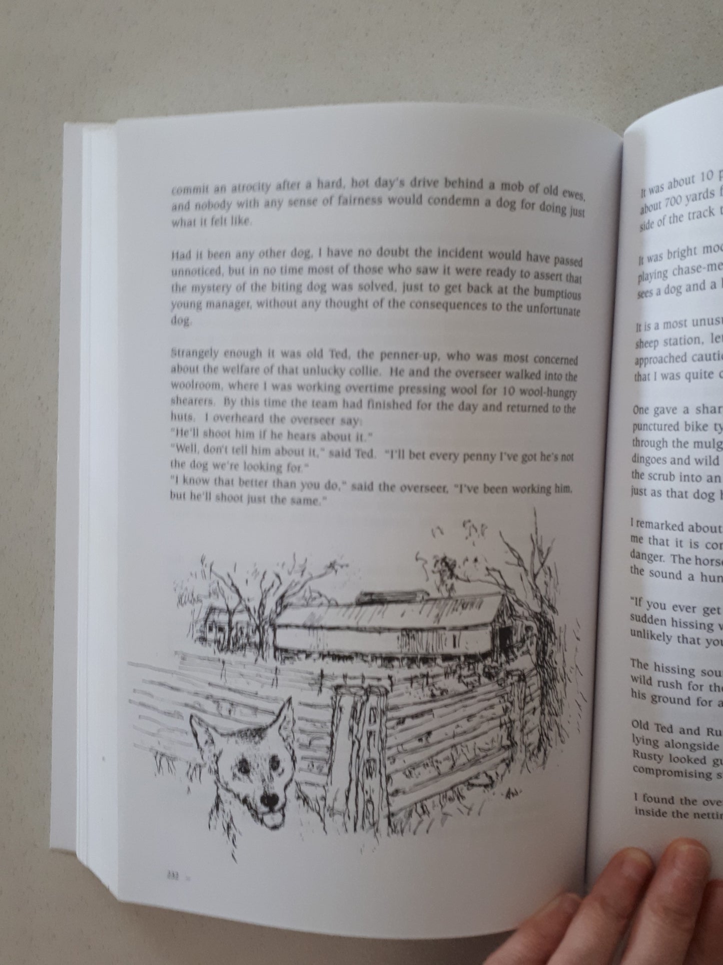 Sailor On The Track by John Nicholes