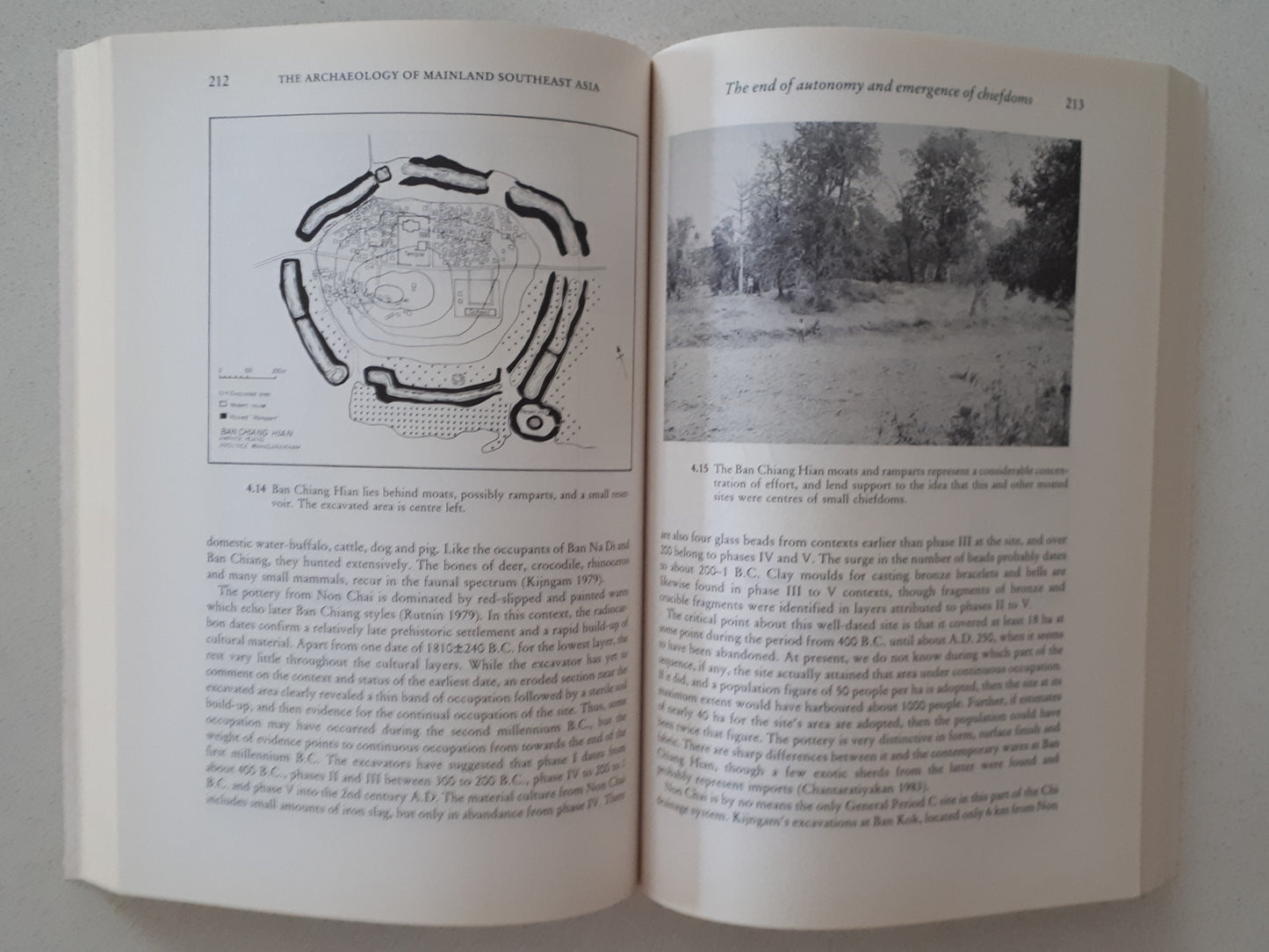 The Archaeology of Mainland Southeast Asia by Charles Higham