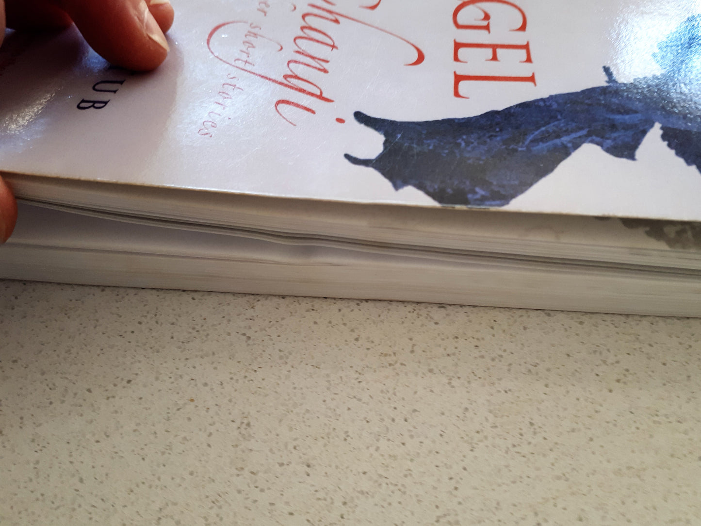 The Angel of Changi & other short stories by Goh Sin Tub