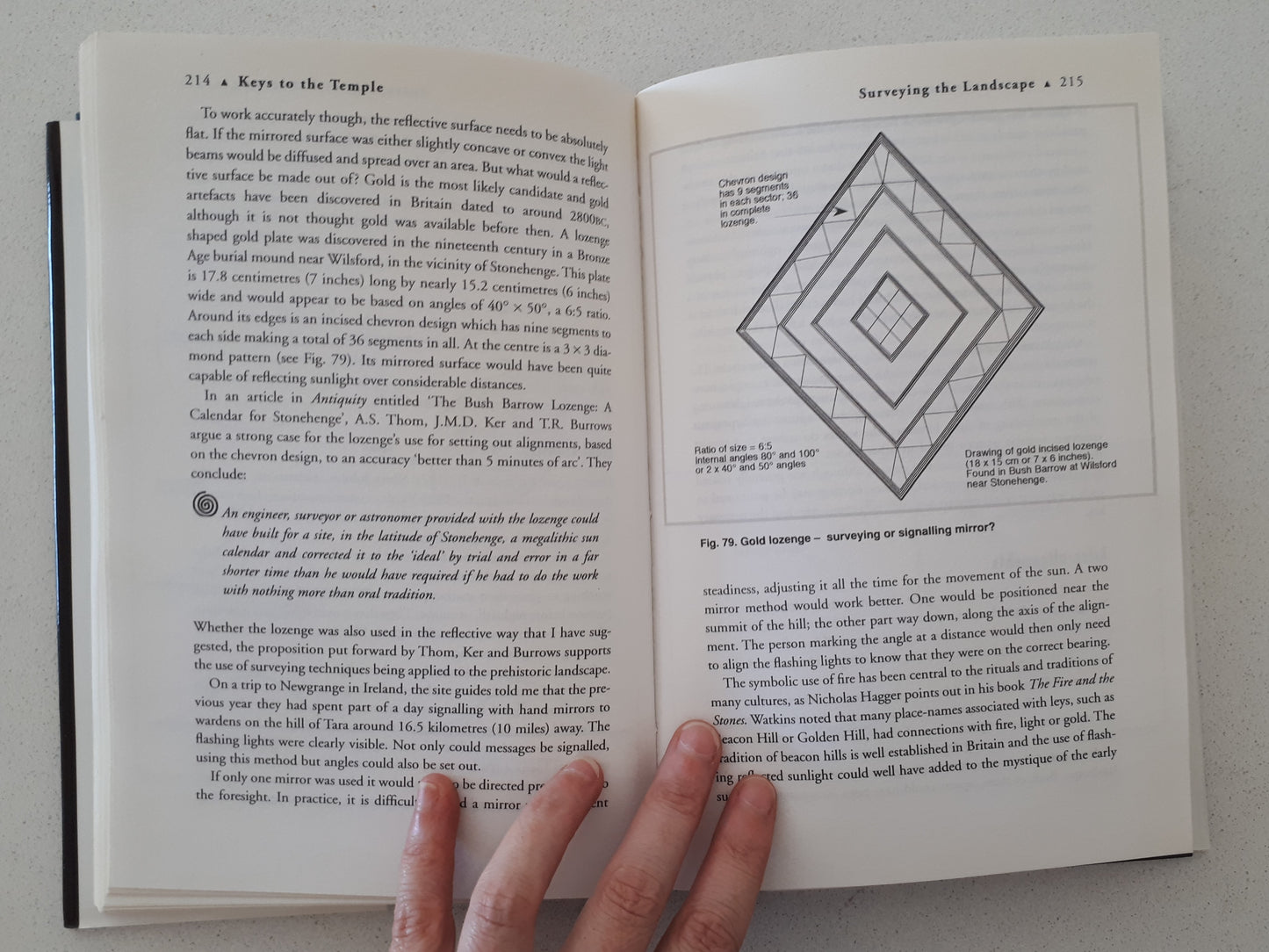 The Keys To The Temple by David Furlong