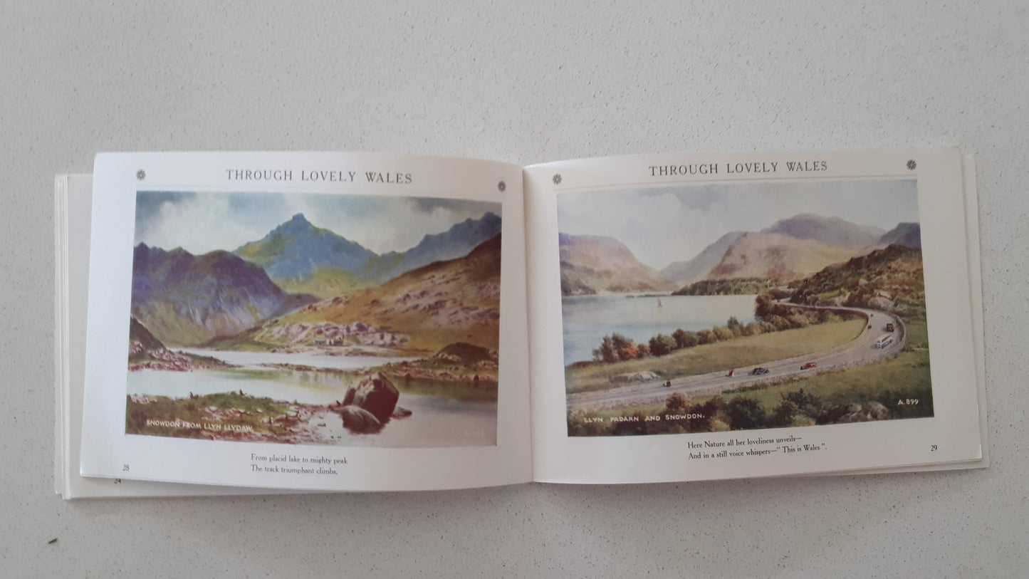 Through Lovely Wales described by 'Allan Junior'