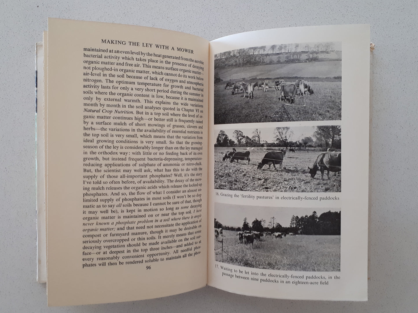 Fertility Pastures by Newman Turner
