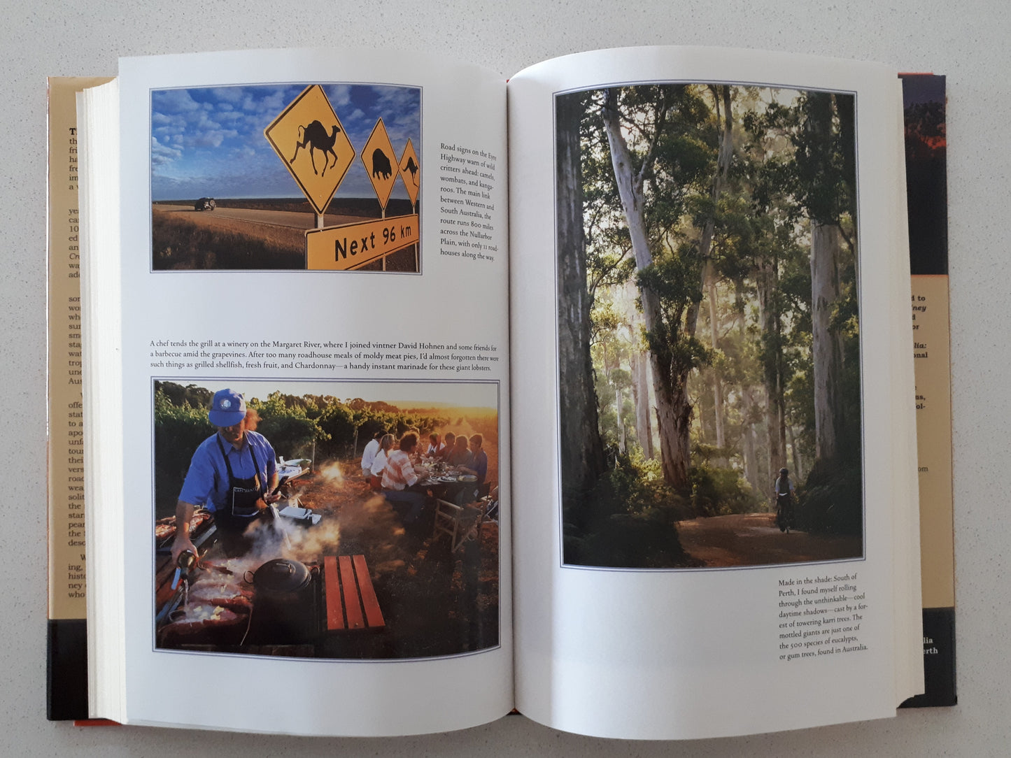 Cold Beers and Crocodiles by Roff Smith