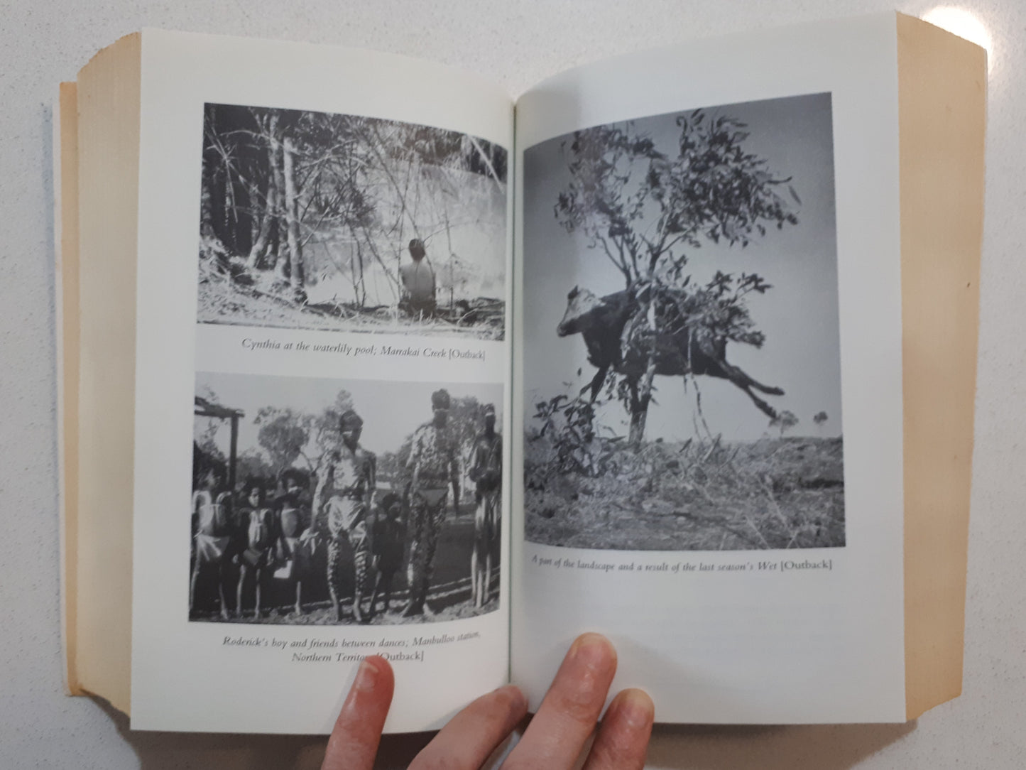 Outback and Beyond by Cynthia Nolan