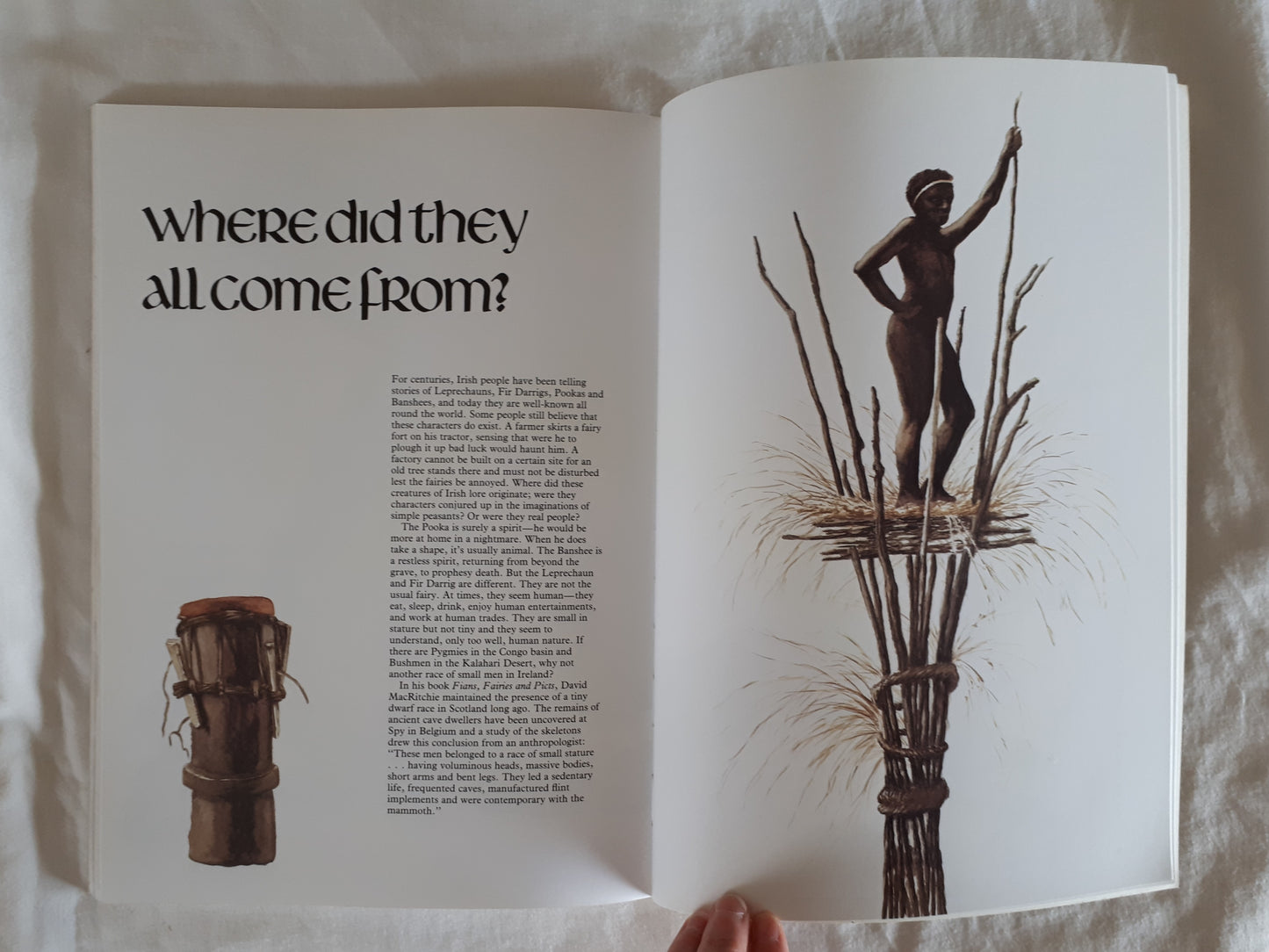 Leprechauns, Legends and Irish Tales by Hugh McGowan