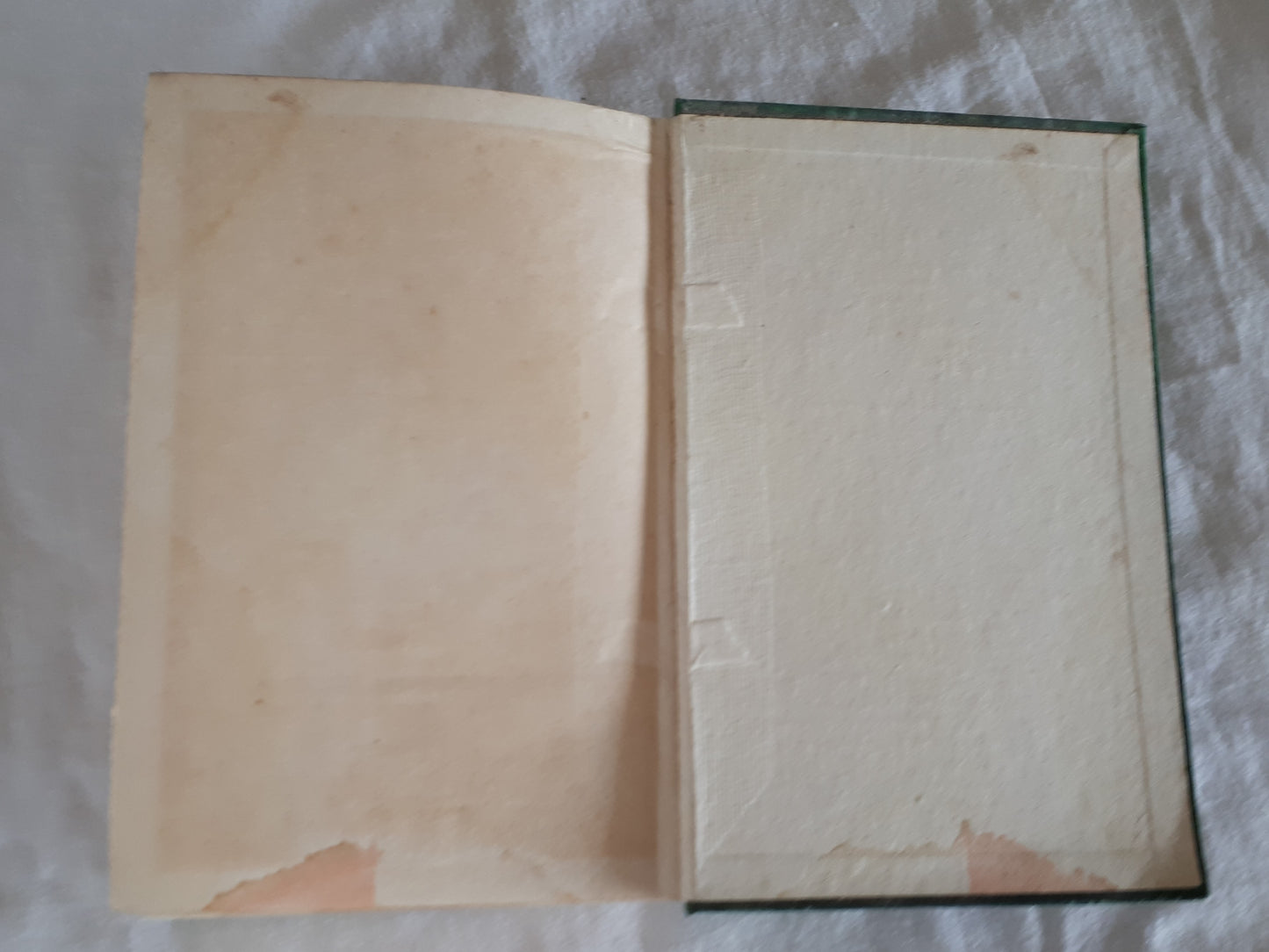 Two Boys in Wyoming by Edward S. Ellis