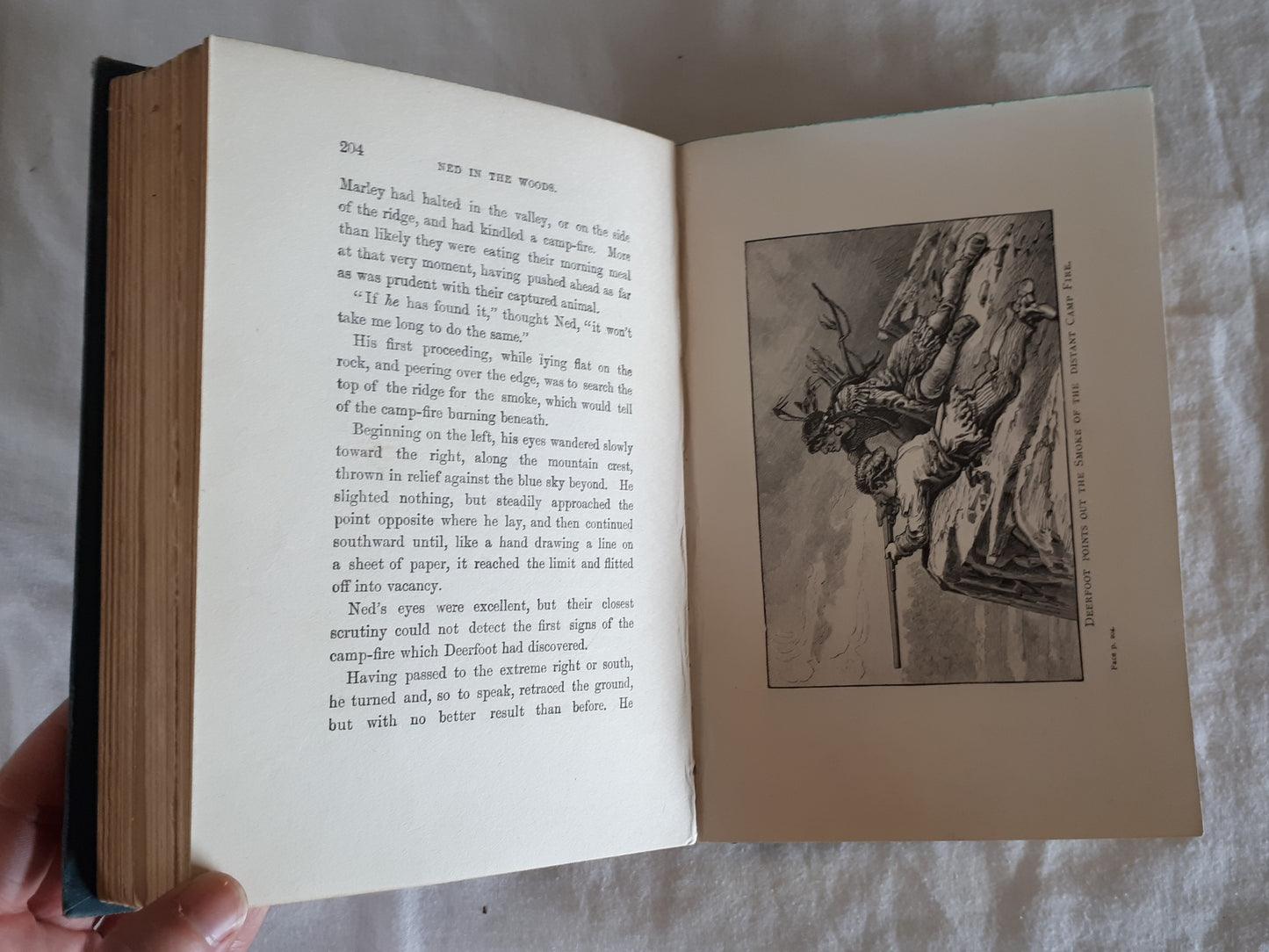 Ned In The Woods by Edward S. Ellis