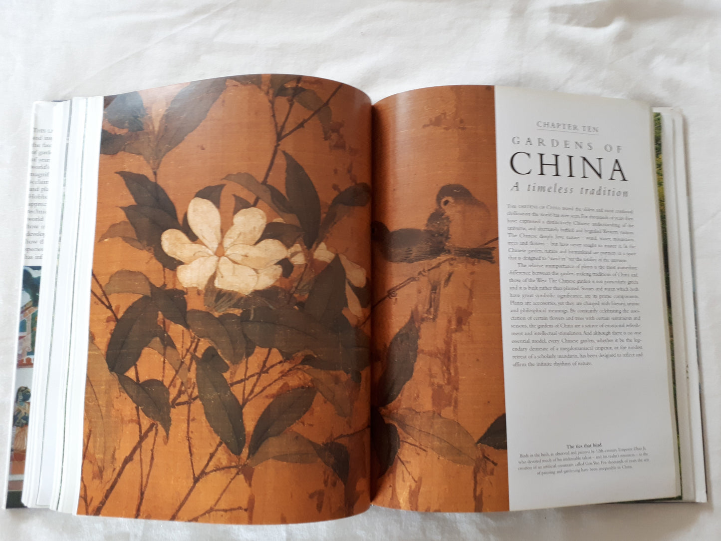 The Story of Gardening by Penelope Hobhouse