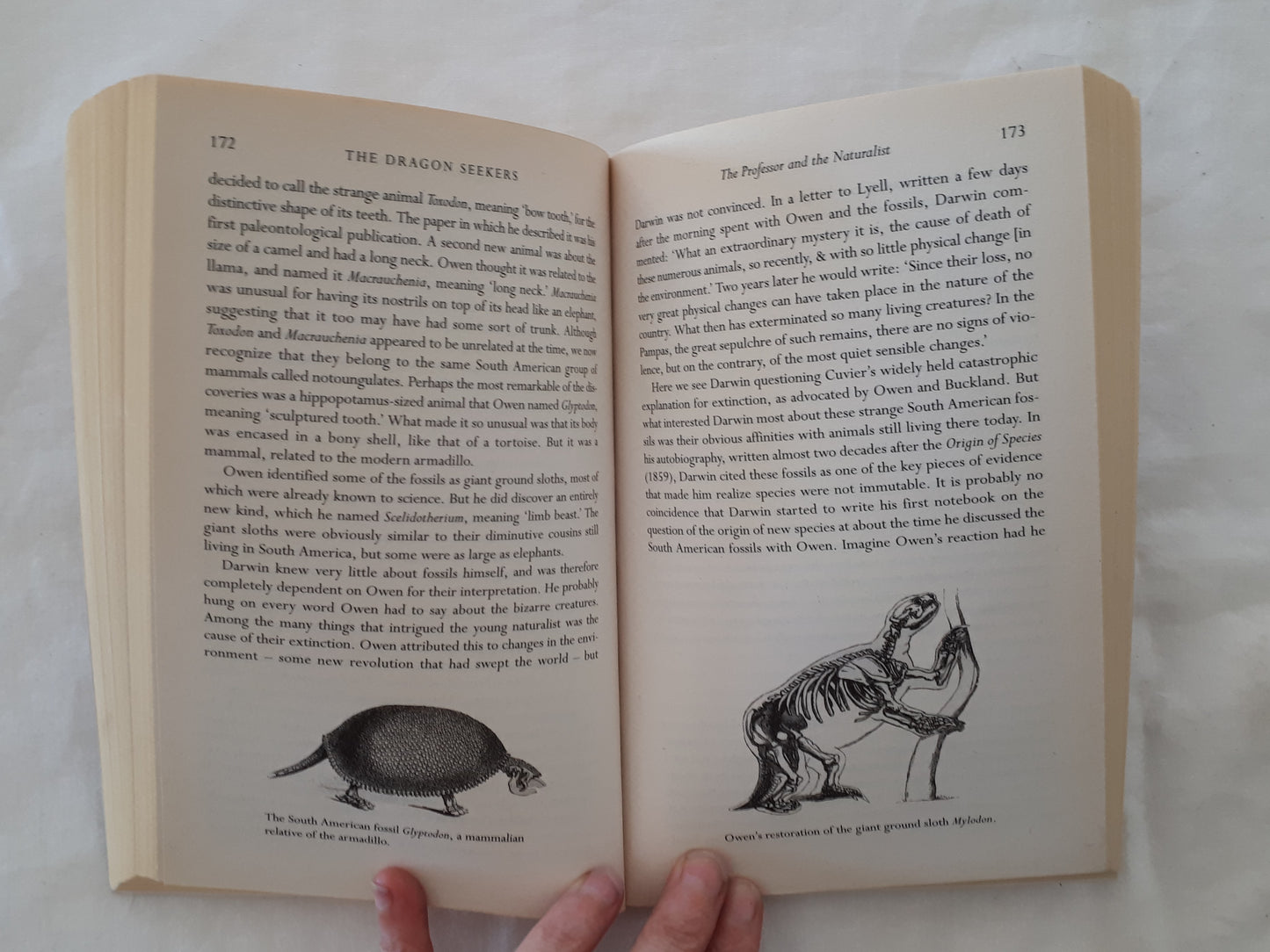 The Dragon Seekers by Christopher McGowan