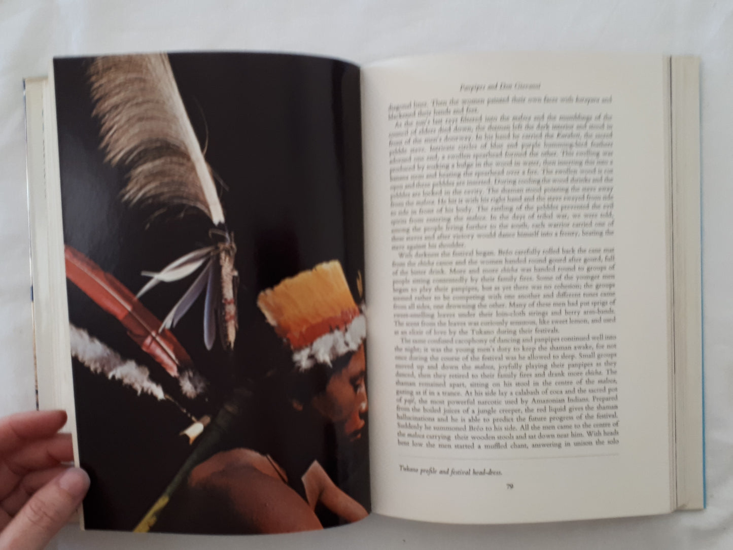 The Cocaine Eaters by Brian Moser and Donald Tayler