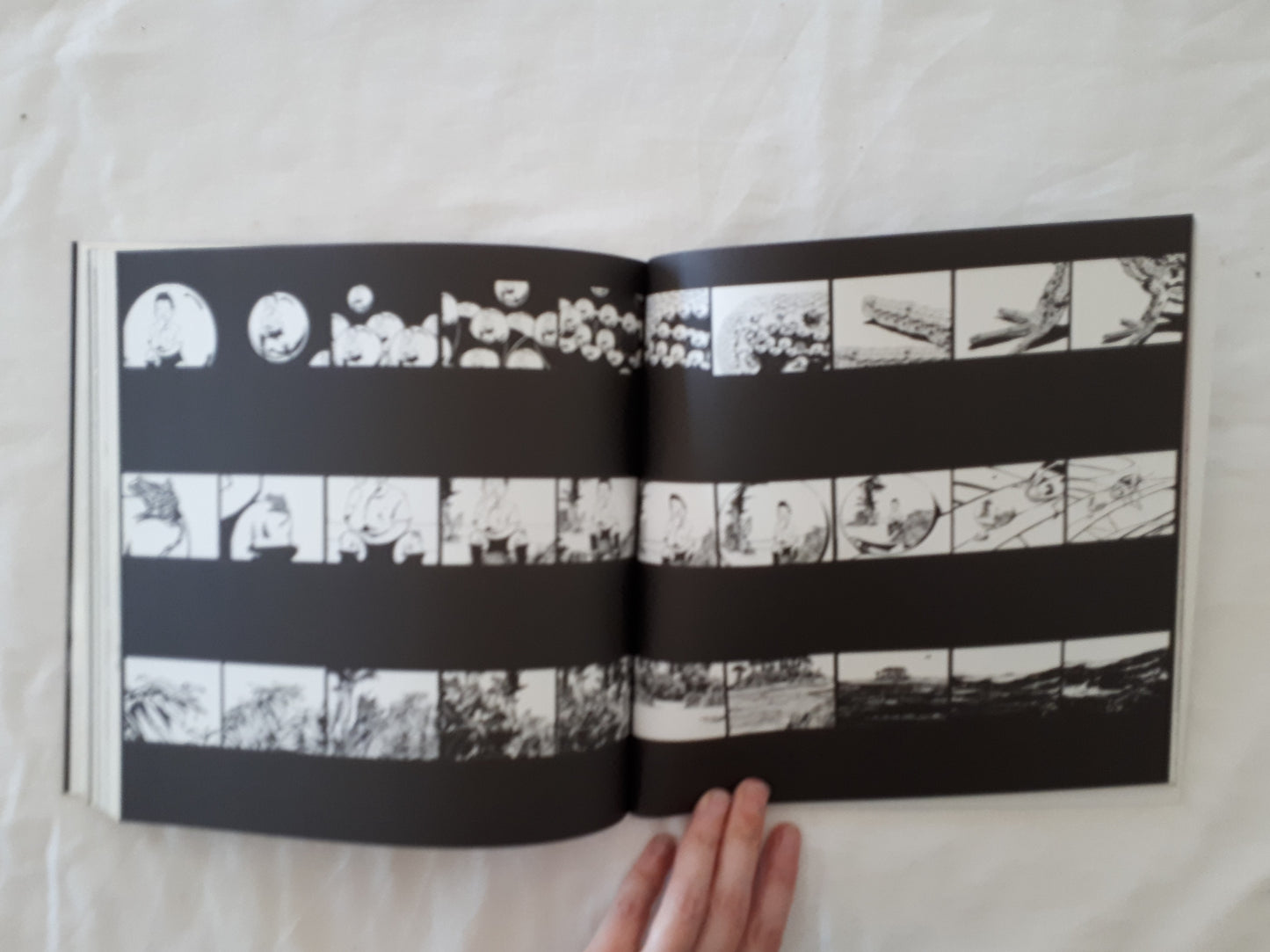 Minus Equals Plus by Istvan Banyai