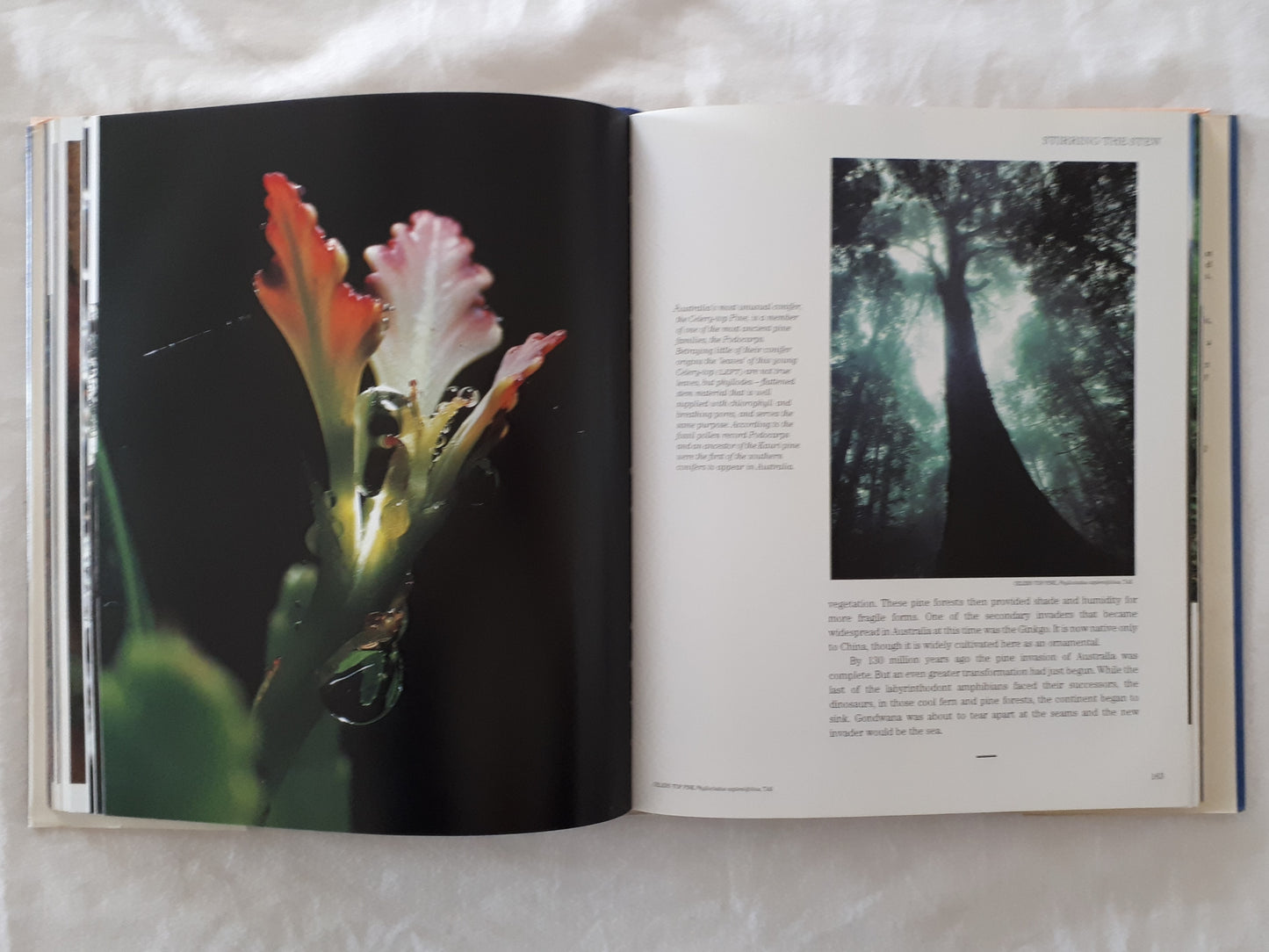 The Voyage of the Great Southern Ark by Reg & Maggie Morrison