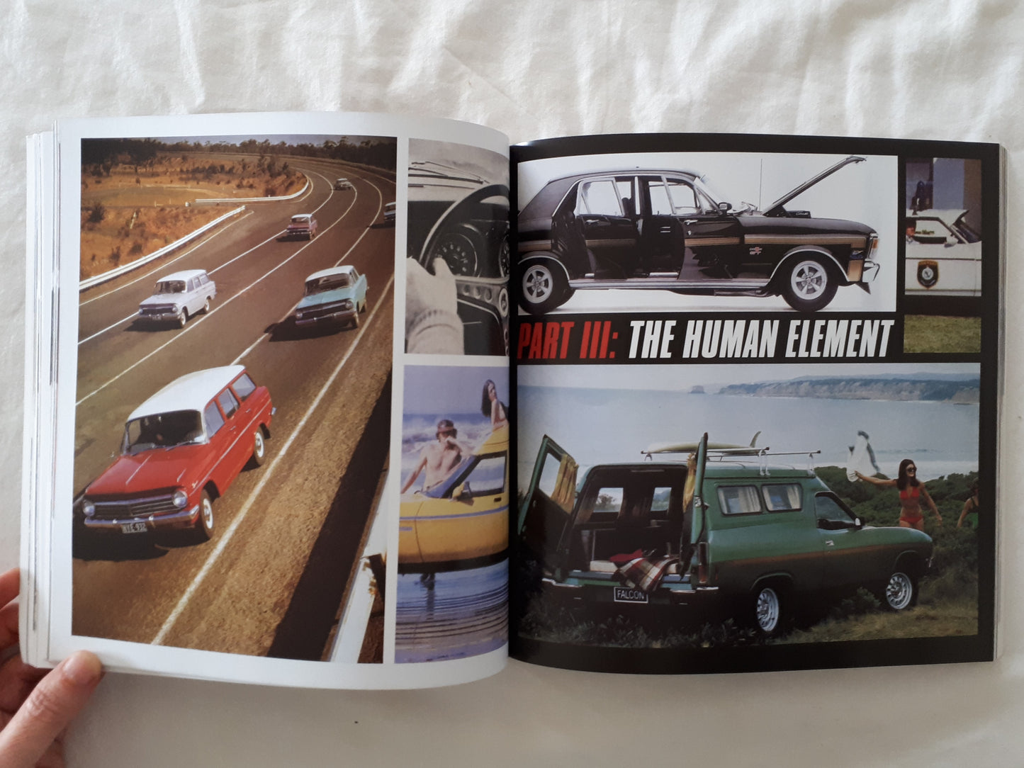 Holden Vs Ford by Steve Bedwell