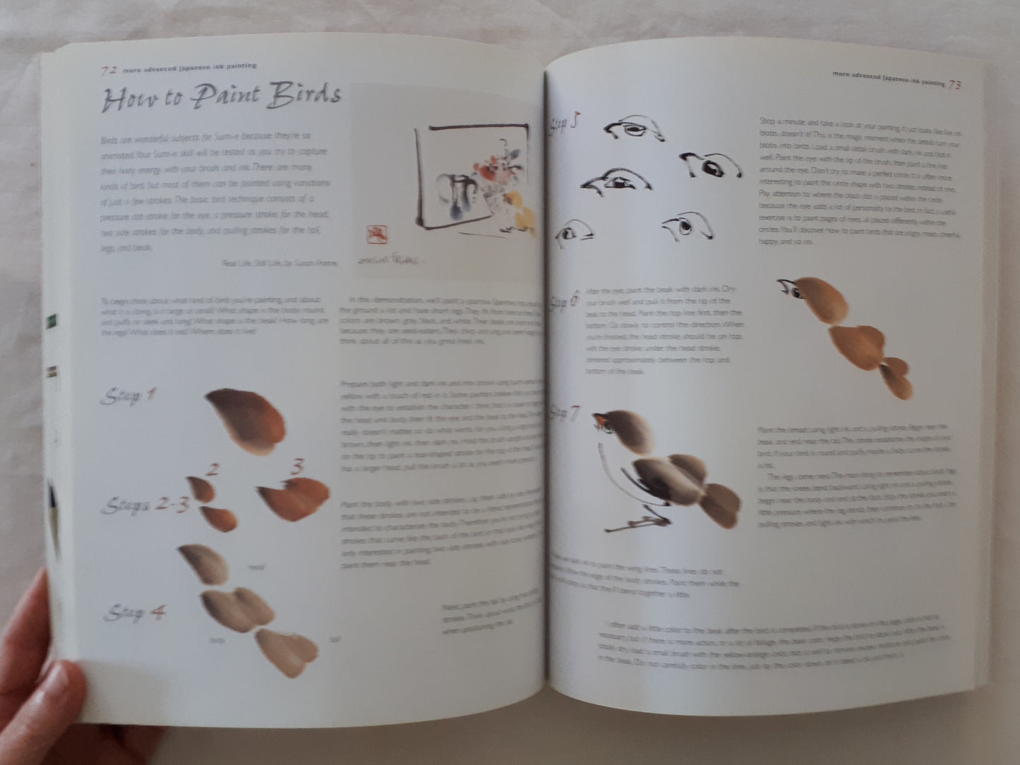 Japanese Ink Painting Book & Gift Set by Susan Frame