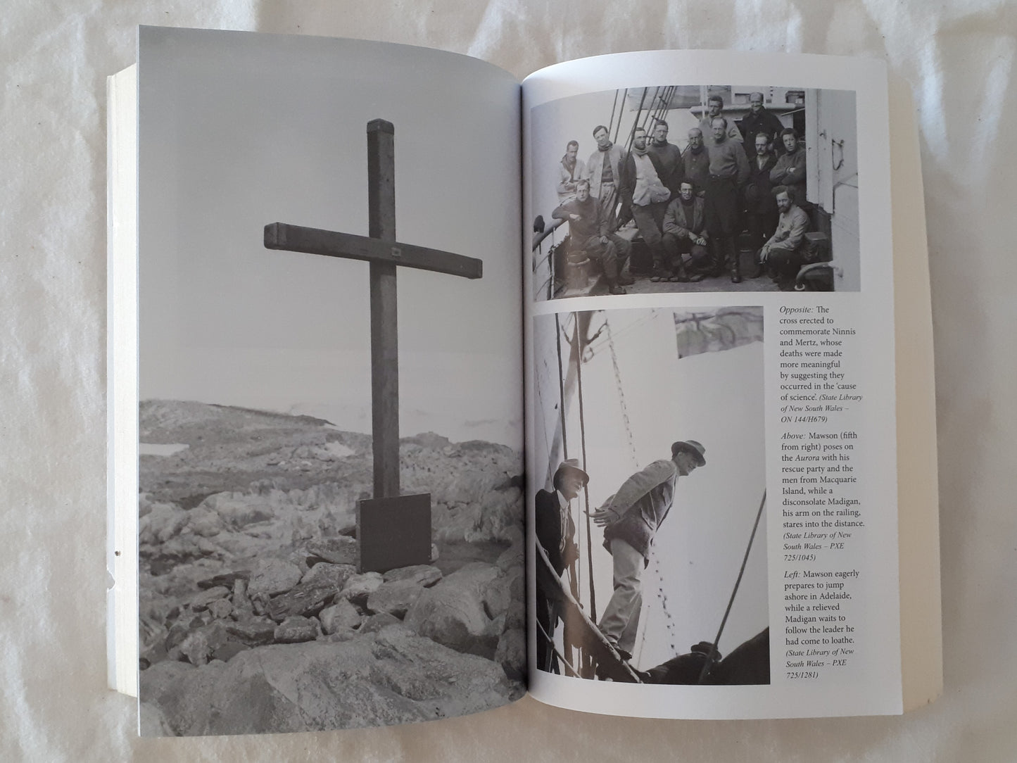 Flaws In The Ice by David Day