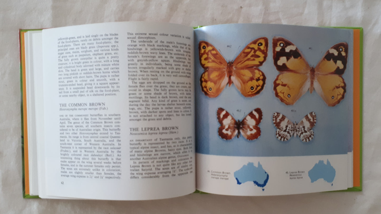 Australian Butterflies in Colour by Alexander Burns & E. R. Rotherham