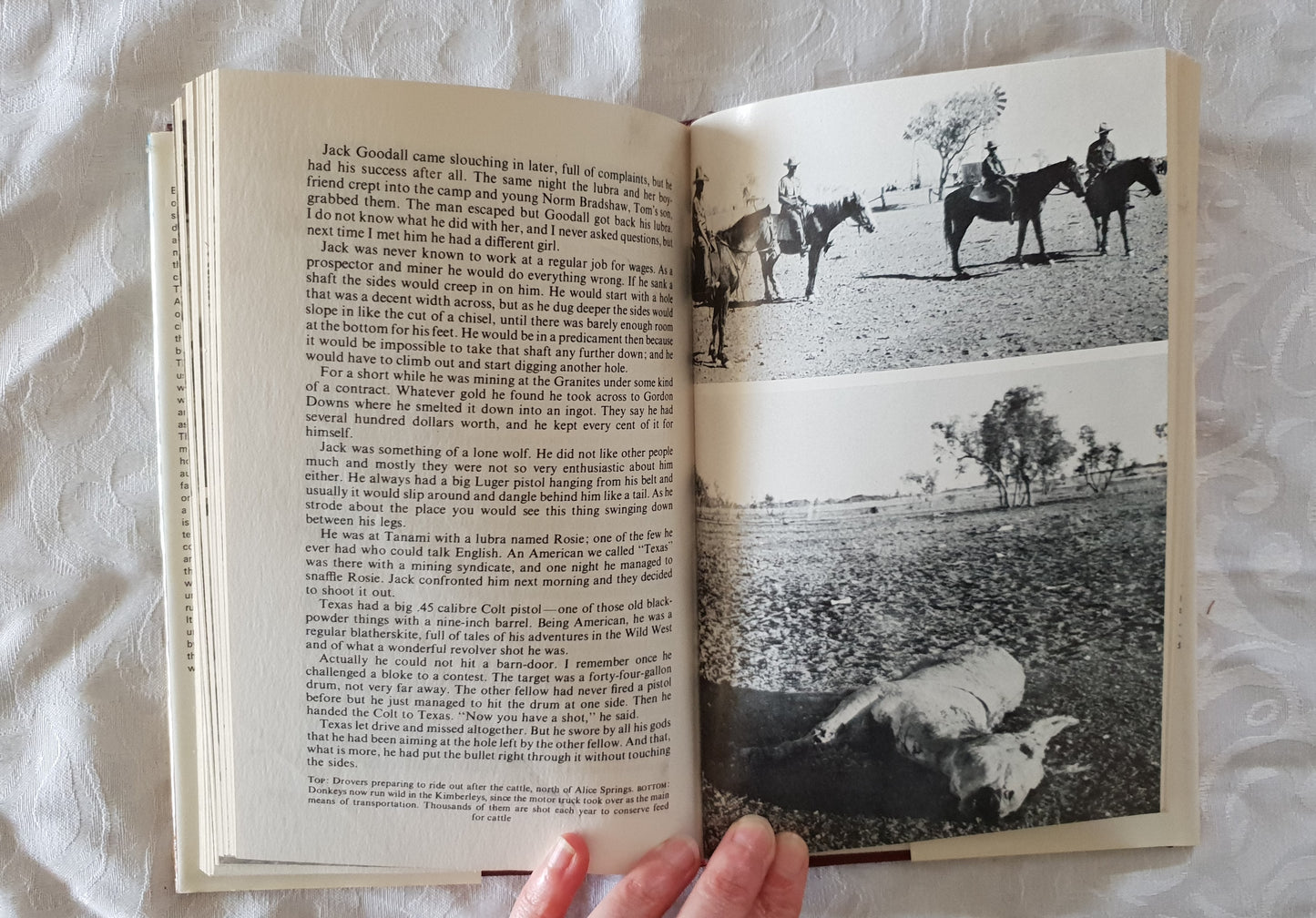 Boss Drover by Keith Willey