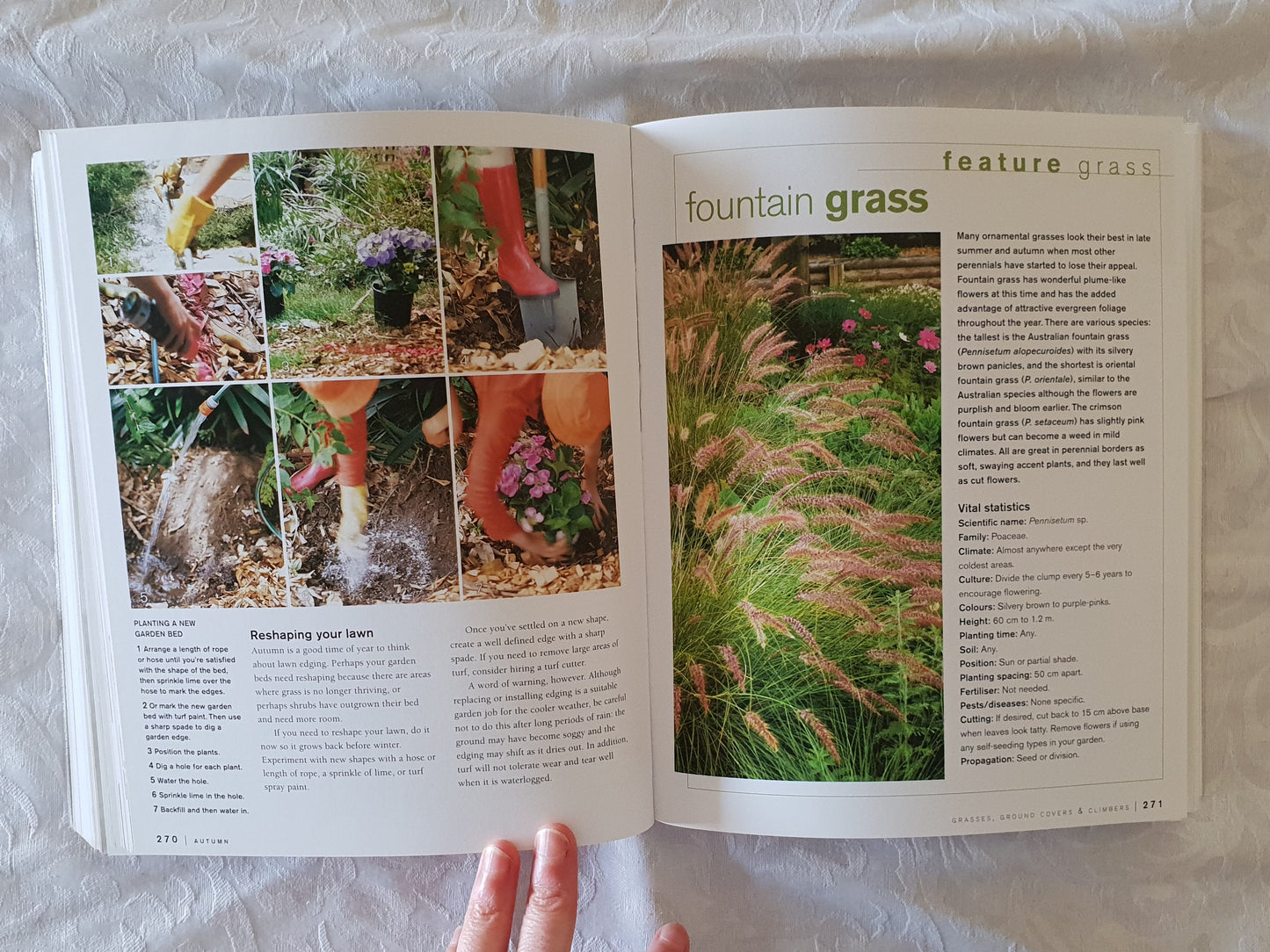 Dig by Meredith Kirton