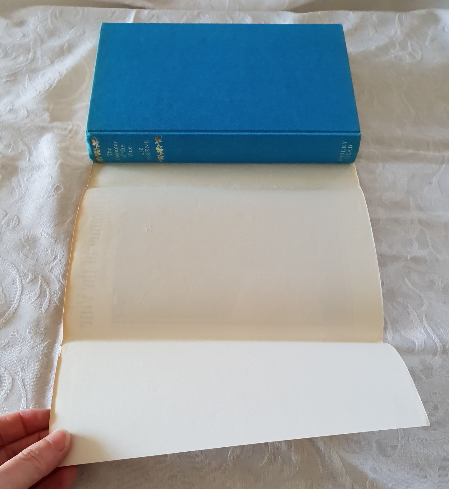 The Dreamer of the Vine by Liz Greene