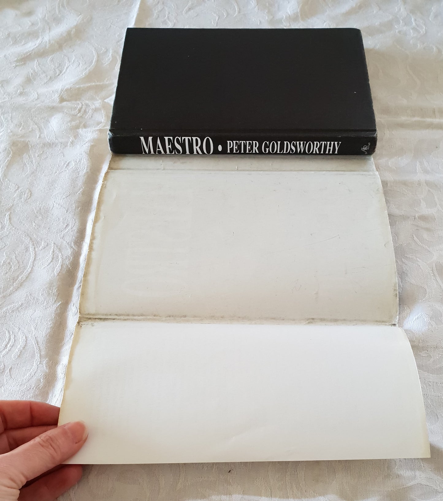 Maestro by Peter Goldsworthy