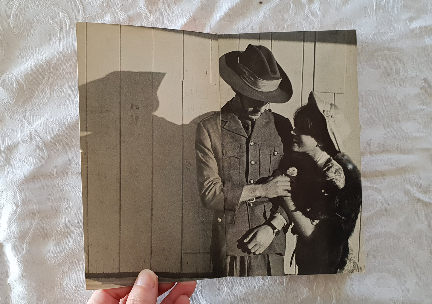 Southern Steel by Dymphna Cusack