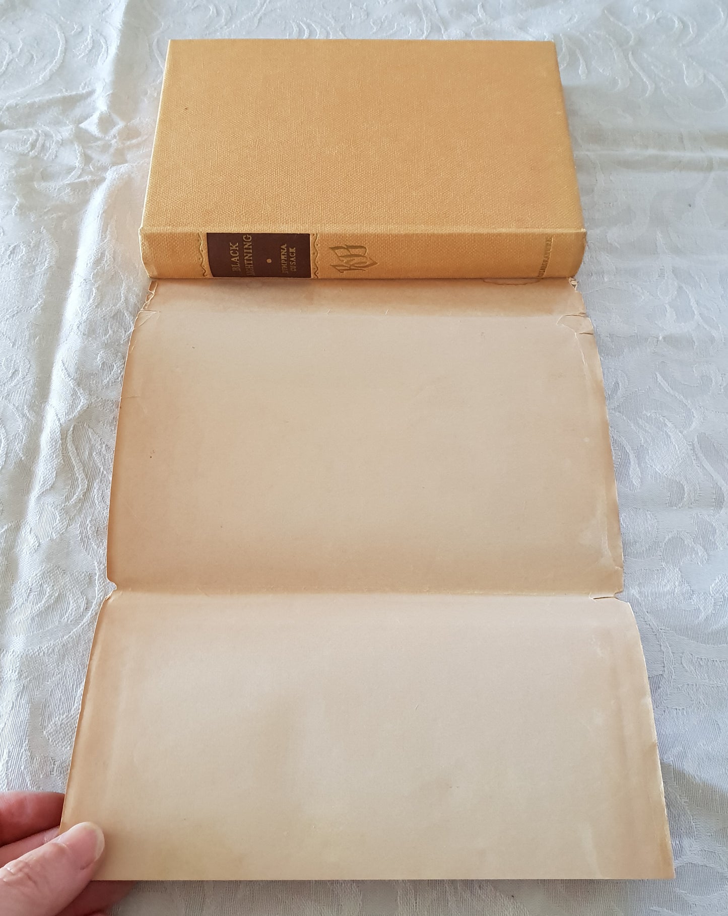 Black Lightning by Dymphna Cusack