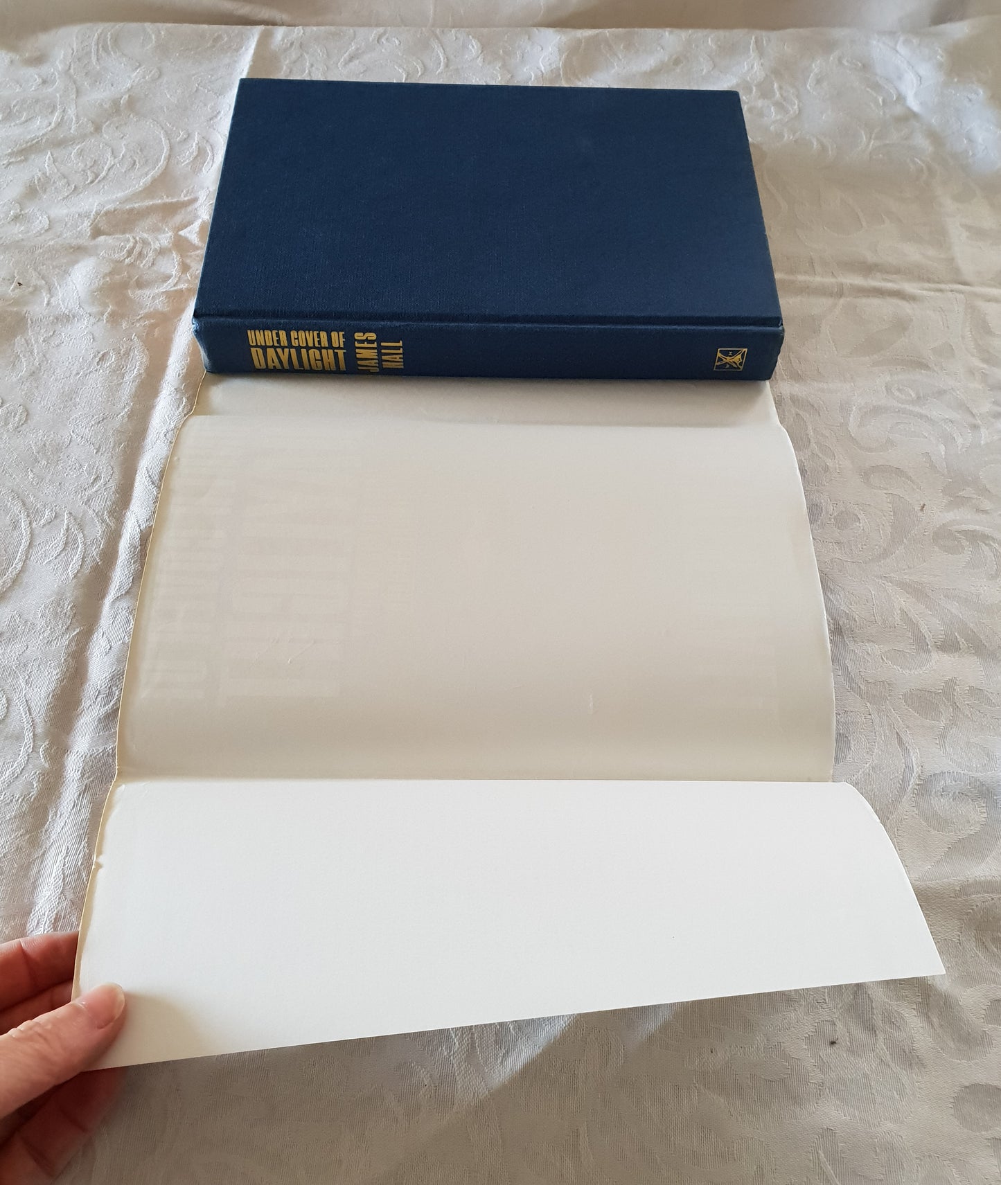 Under Cover of Daylight by James Hall